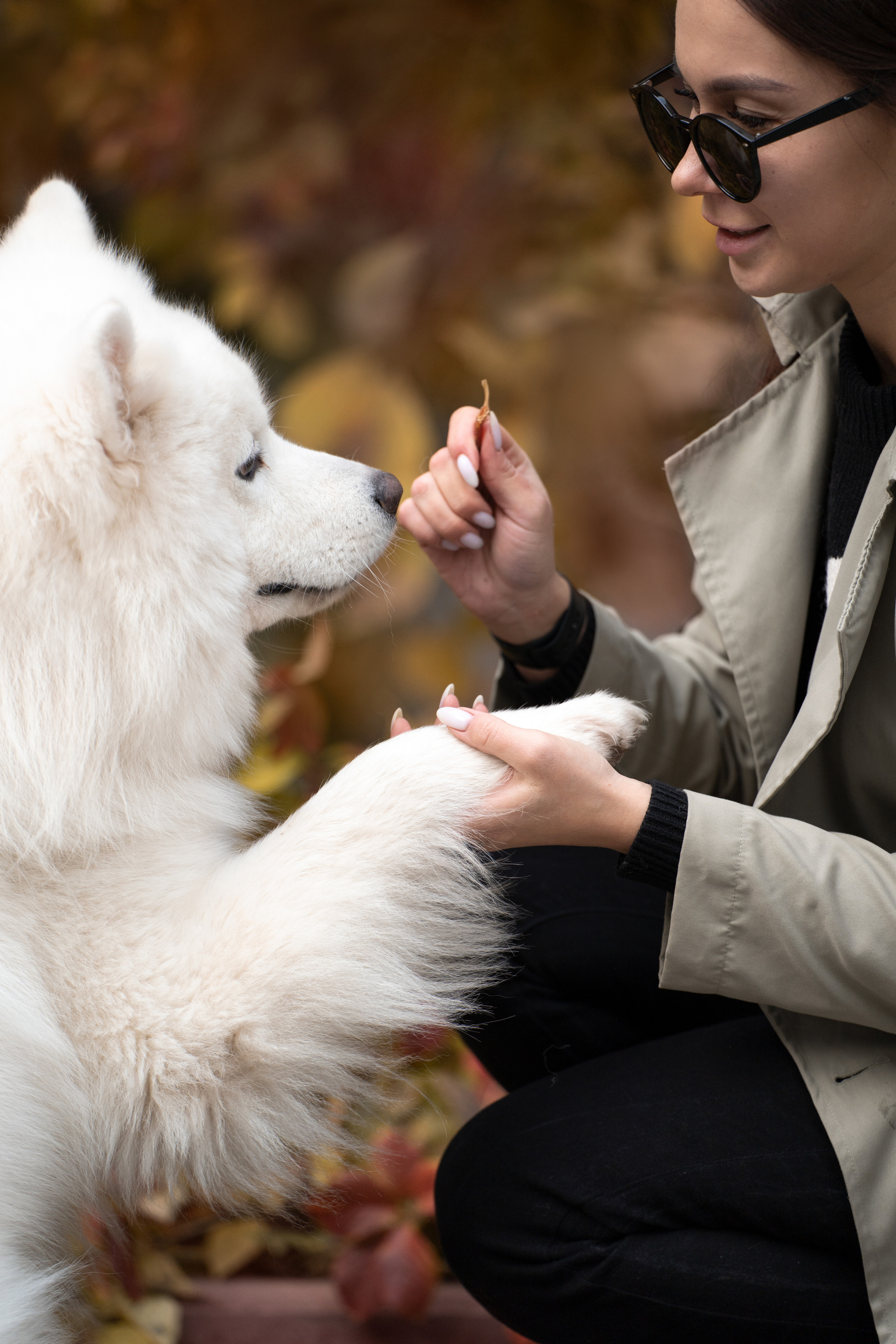 Белый и пушистый. Фотограф анималист