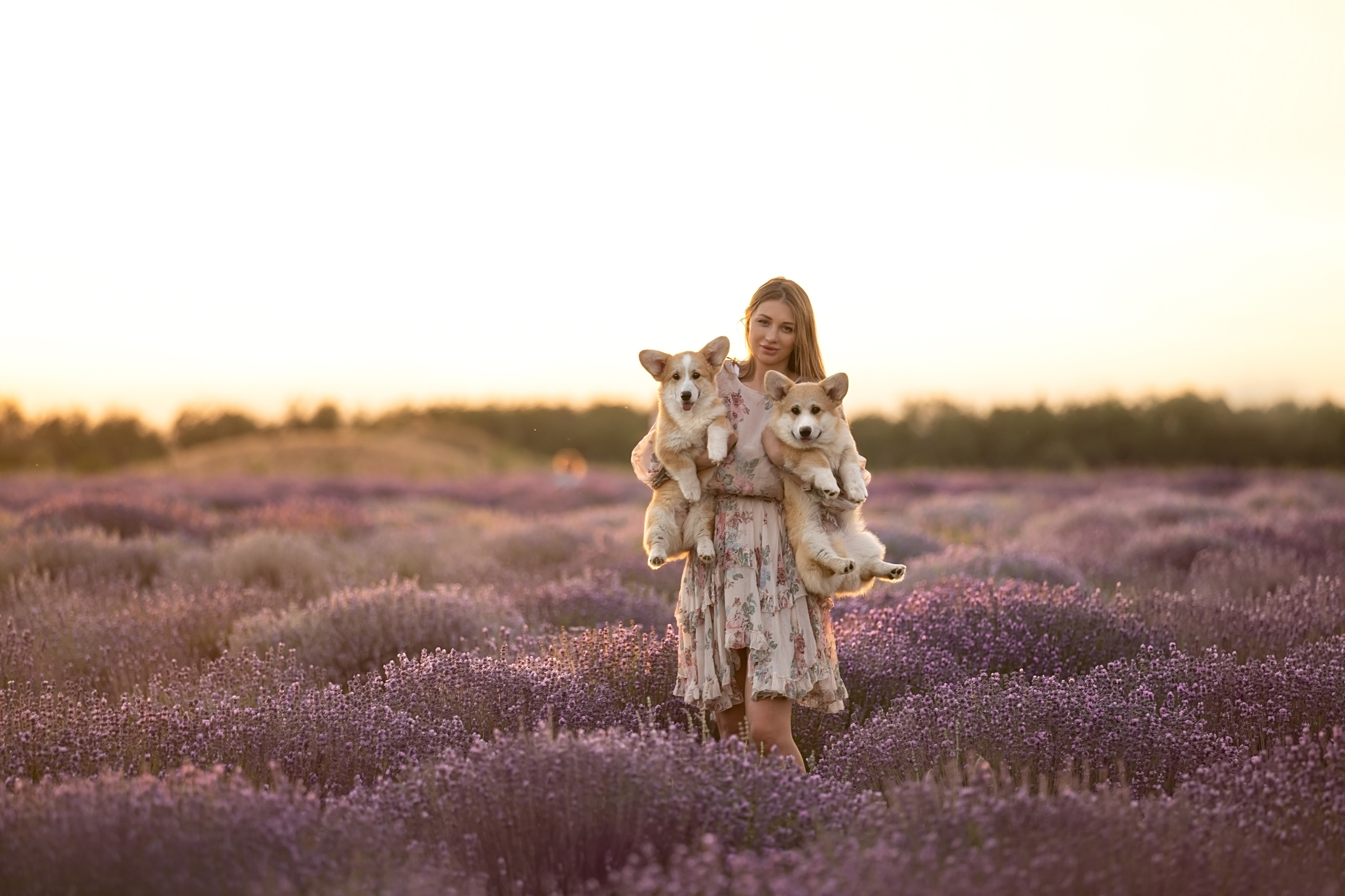 Фотограф анималист