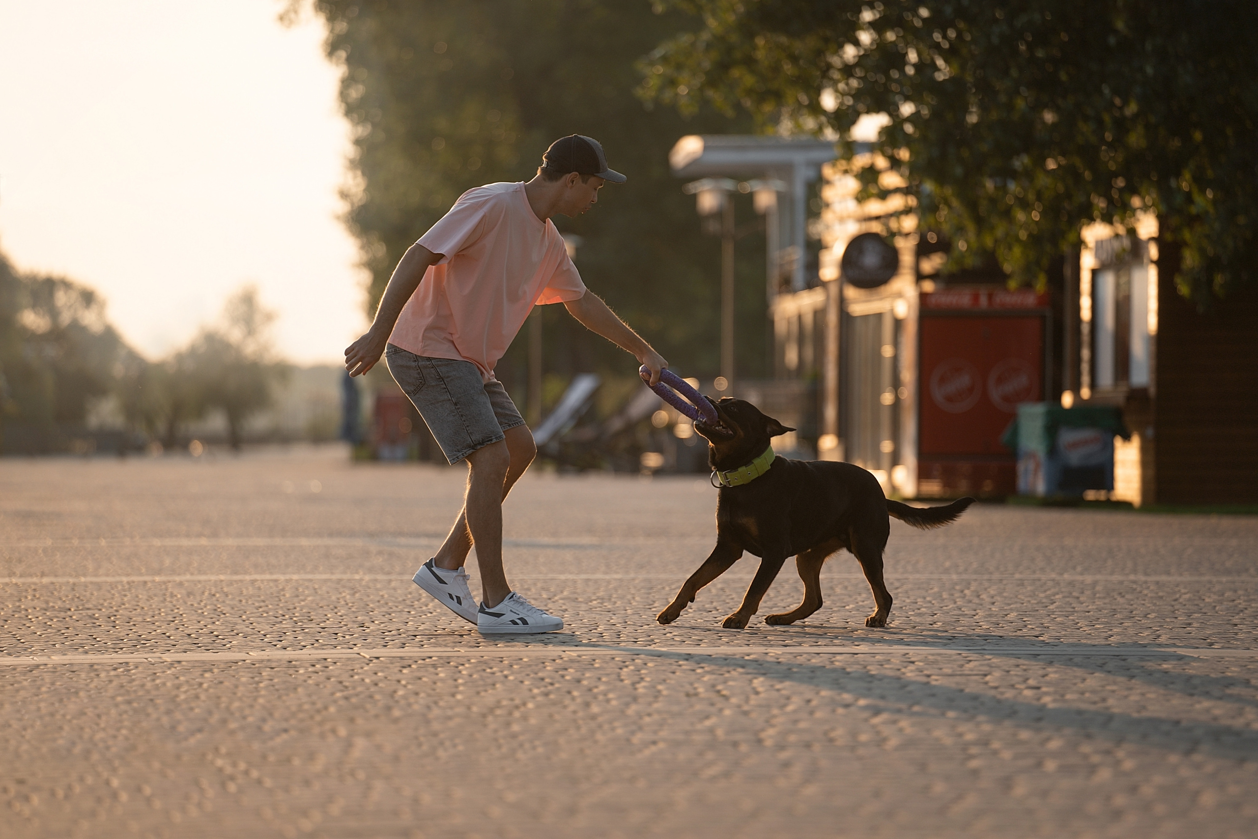 Амадик на рассвете. Фотограф анималист