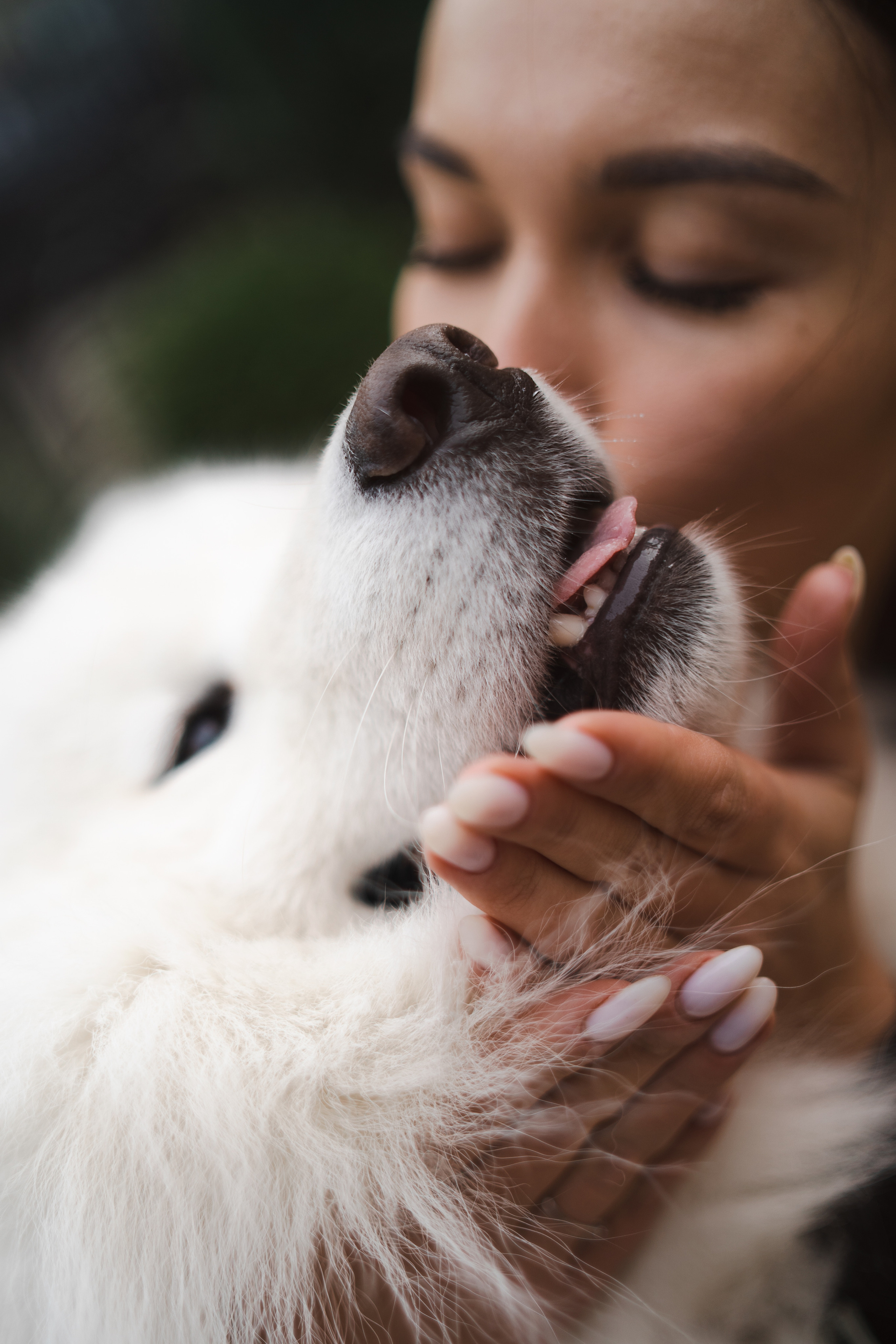 Белый и пушистый. Фотограф анималист