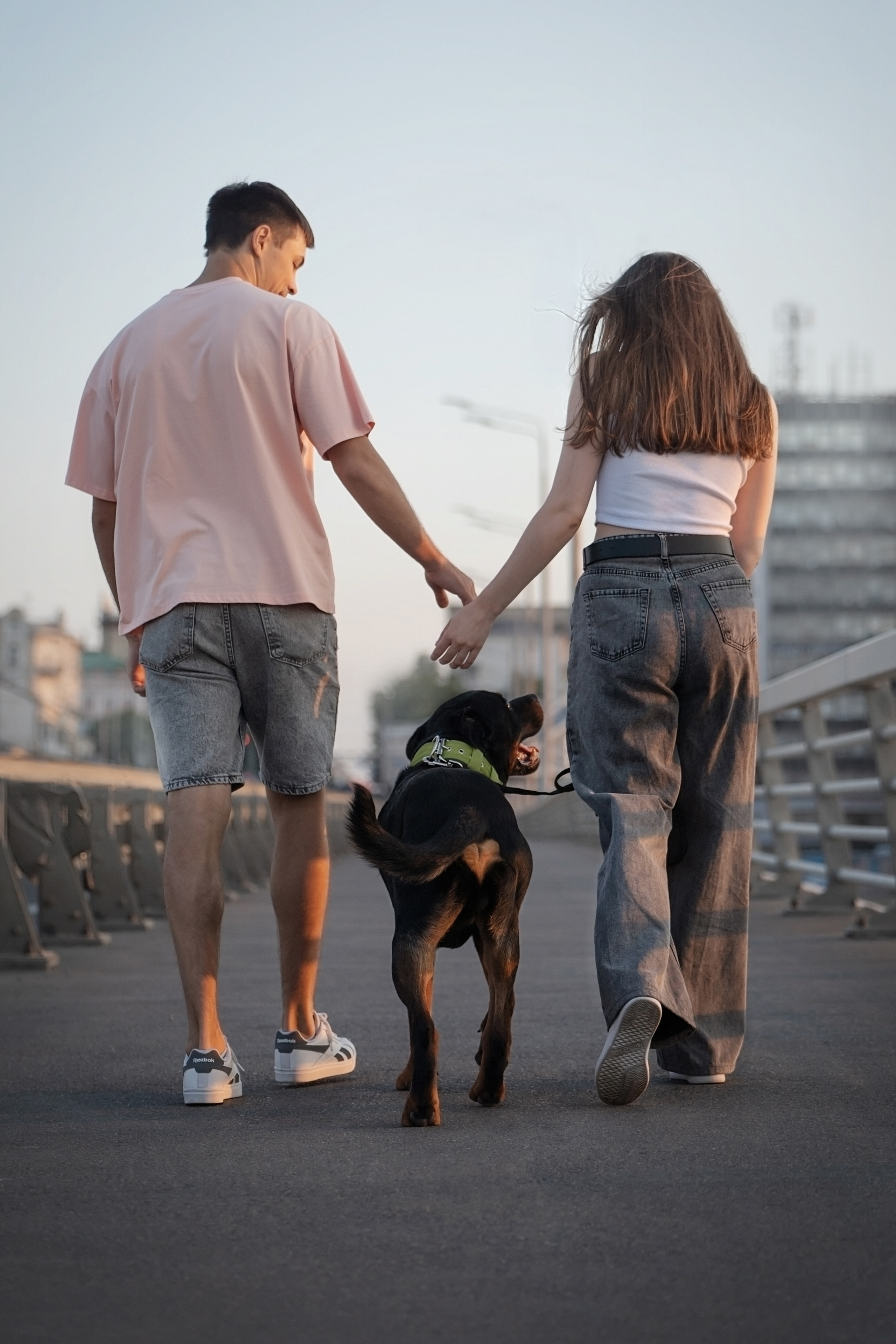 Амадик на рассвете. Фотограф анималист