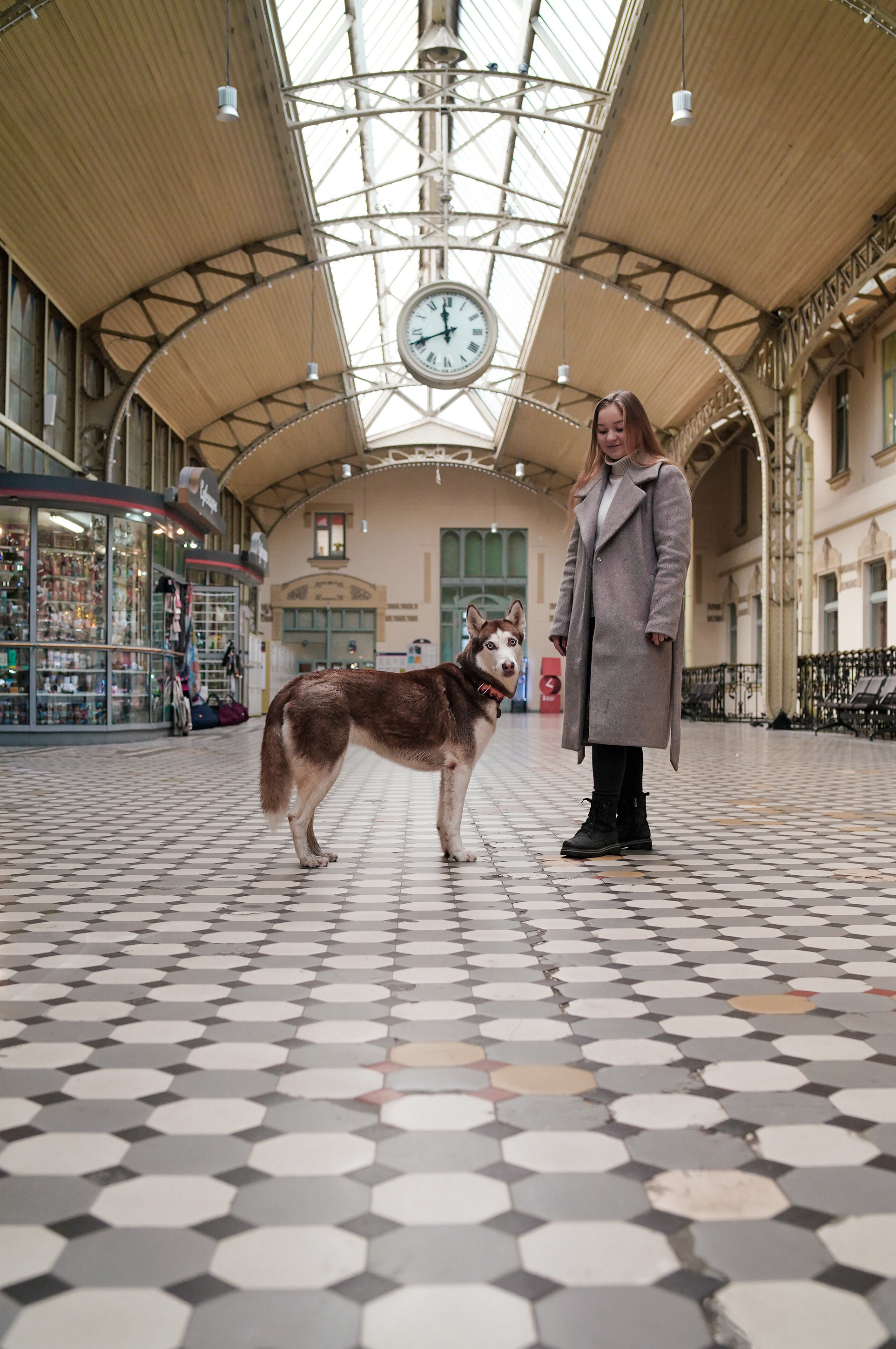 На вокзале. Фотограф анималист
