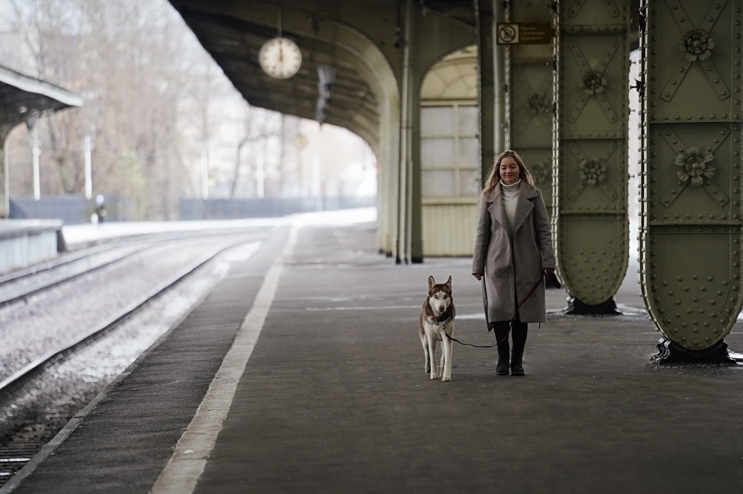 На вокзале. Фотограф анималист