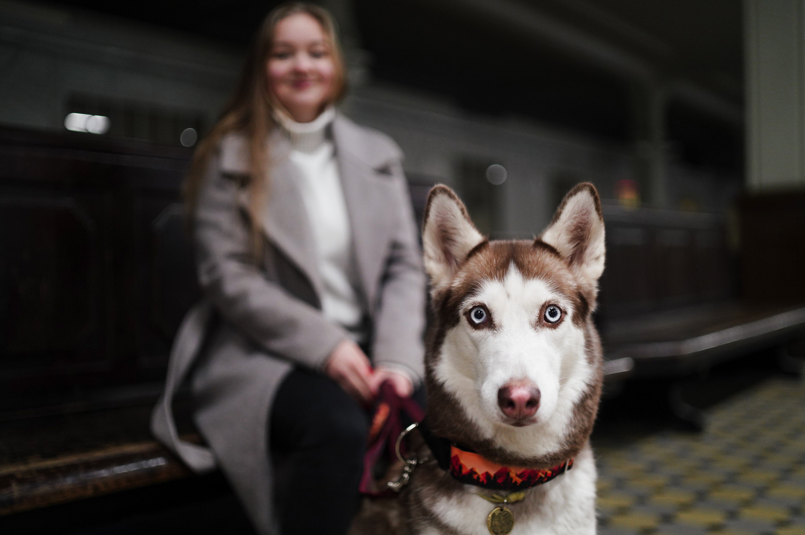 На вокзале. Фотограф анималист