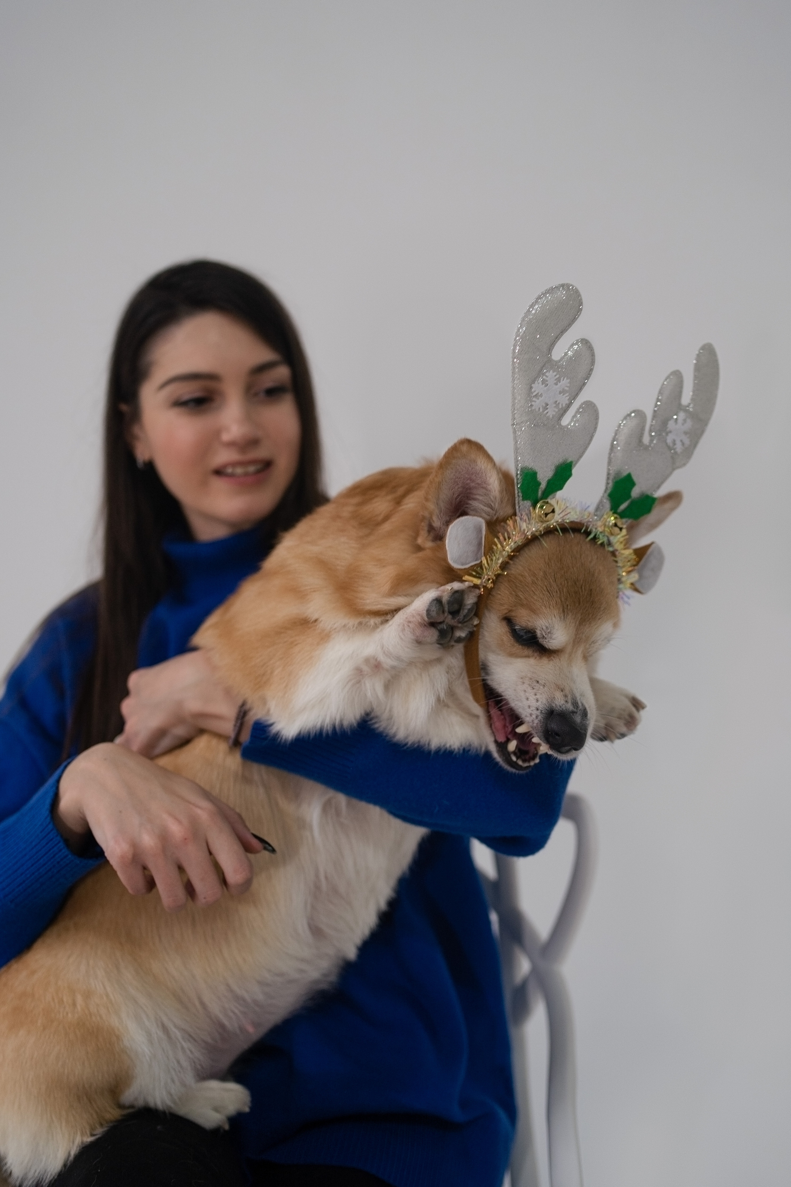 Марина и ее коржики. Фотограф анималист