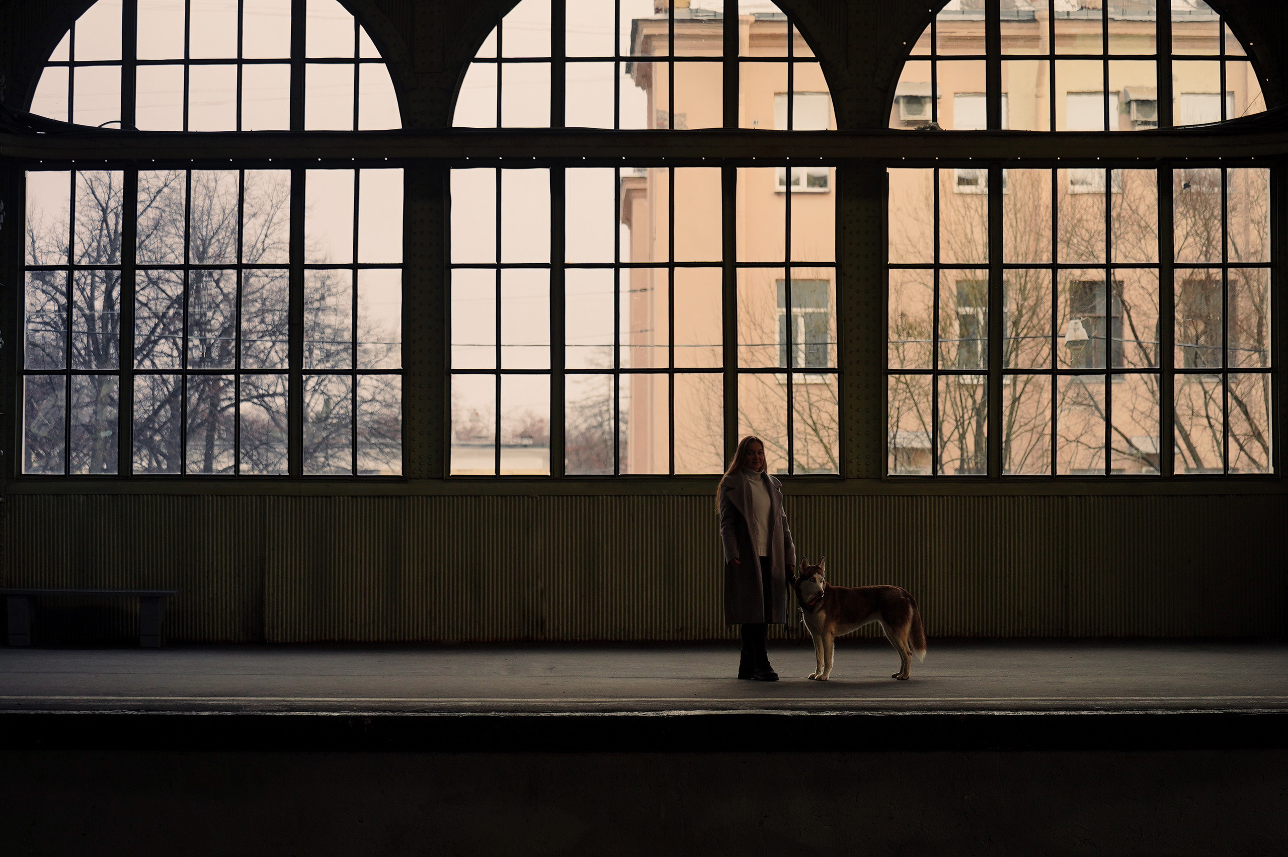 На вокзале. Фотограф анималист