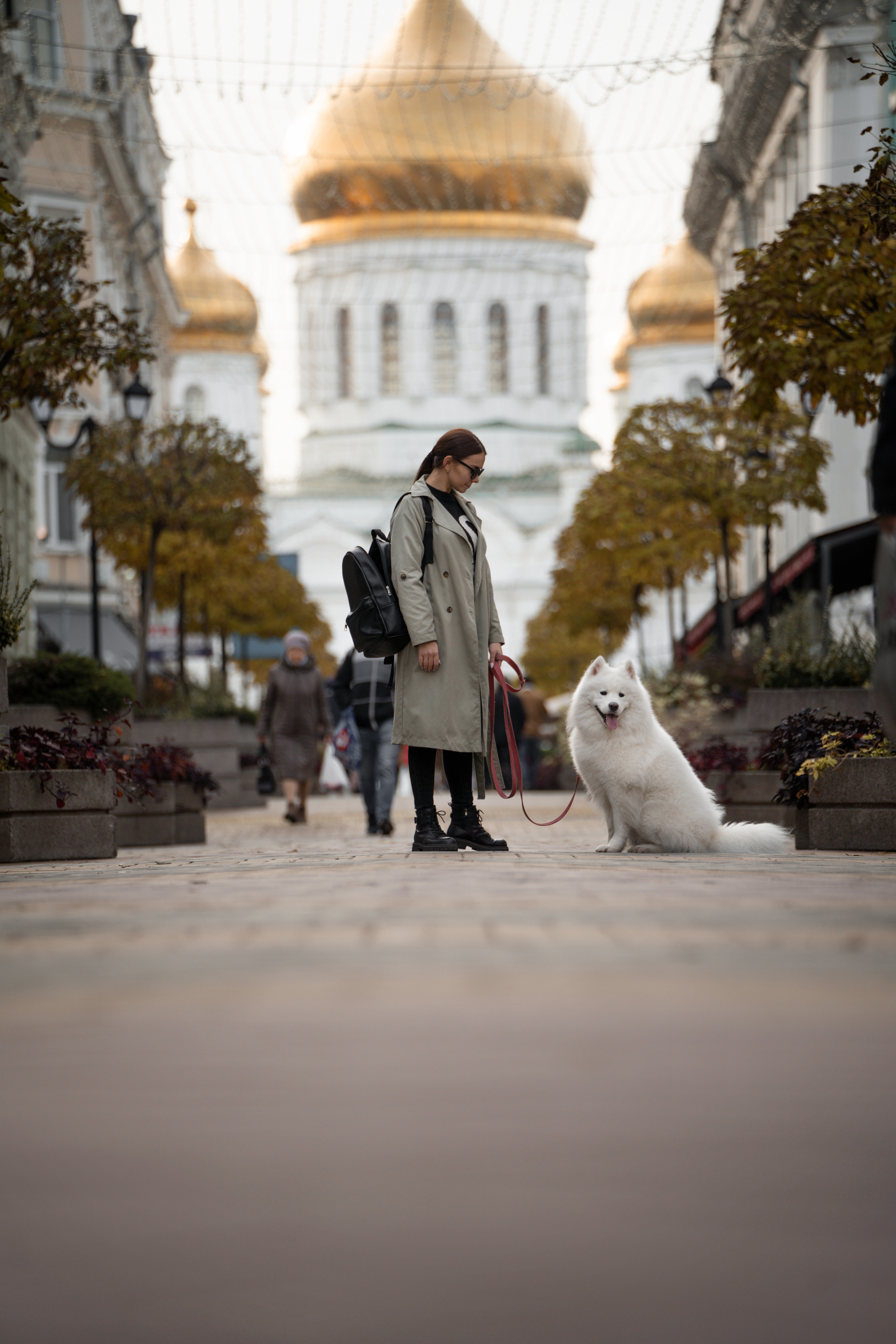 Белый и пушистый. Фотограф анималист