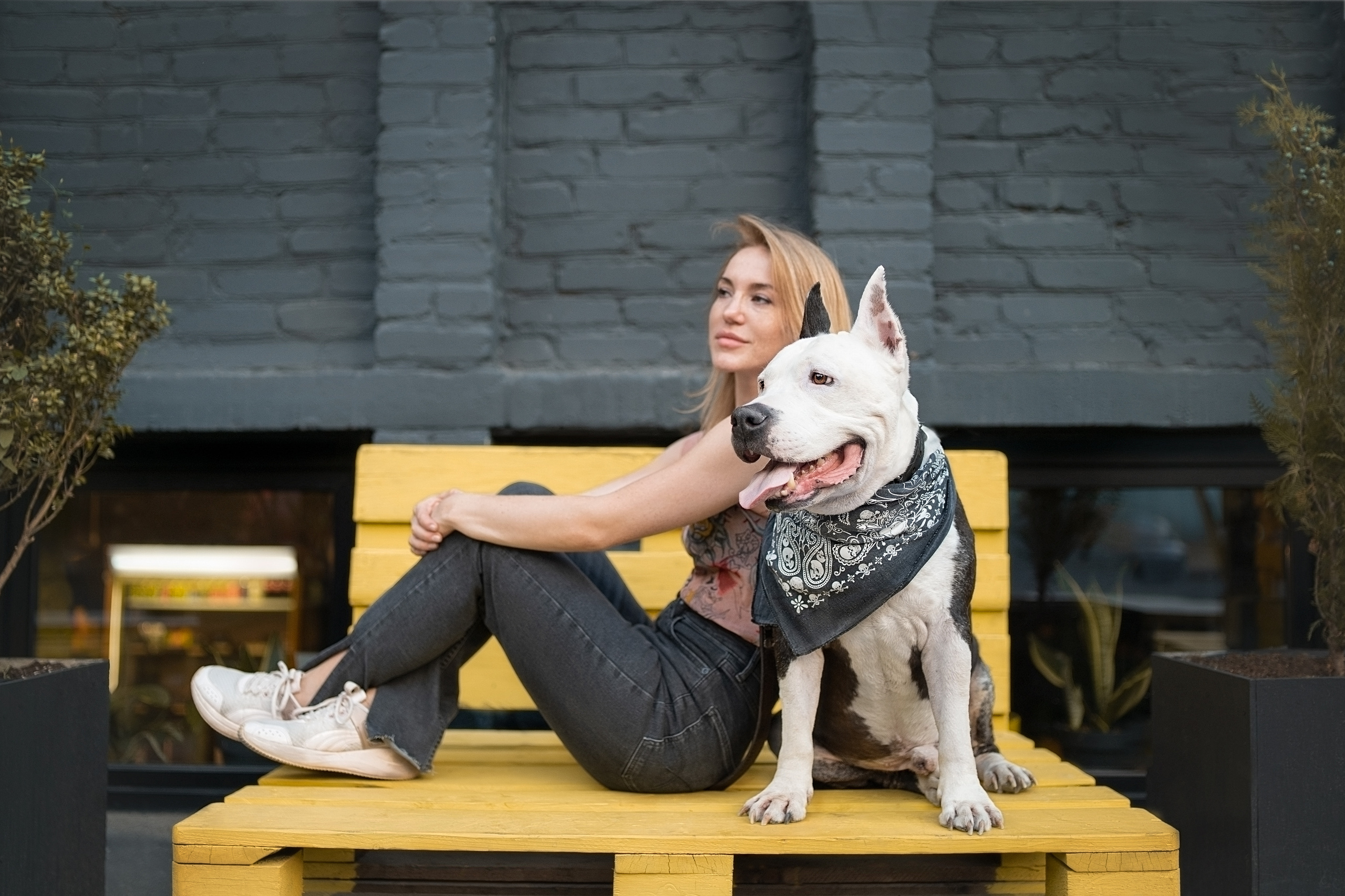 Оля и Пит в городе. Фотограф анималист