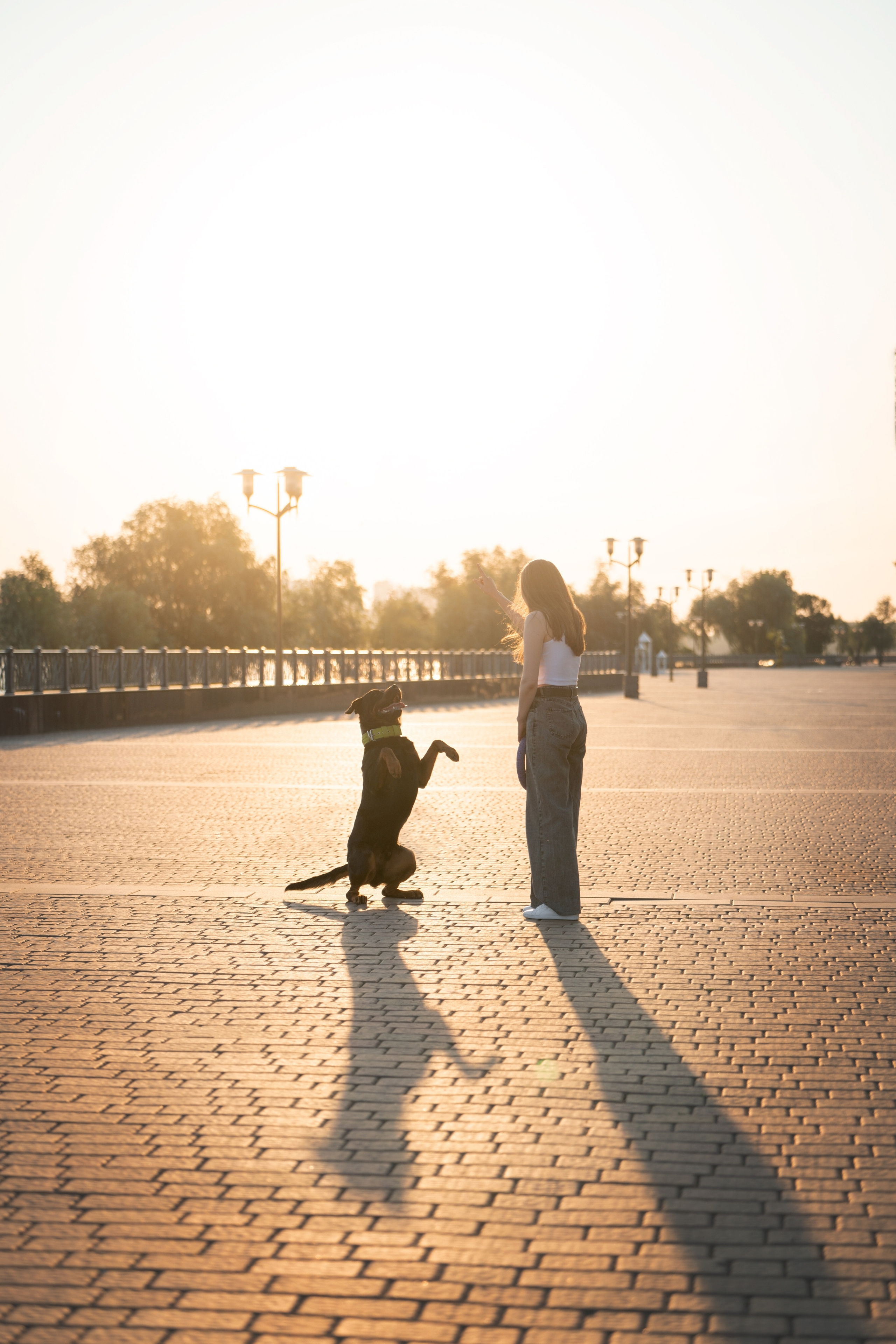 Амадик на рассвете. Фотограф анималист