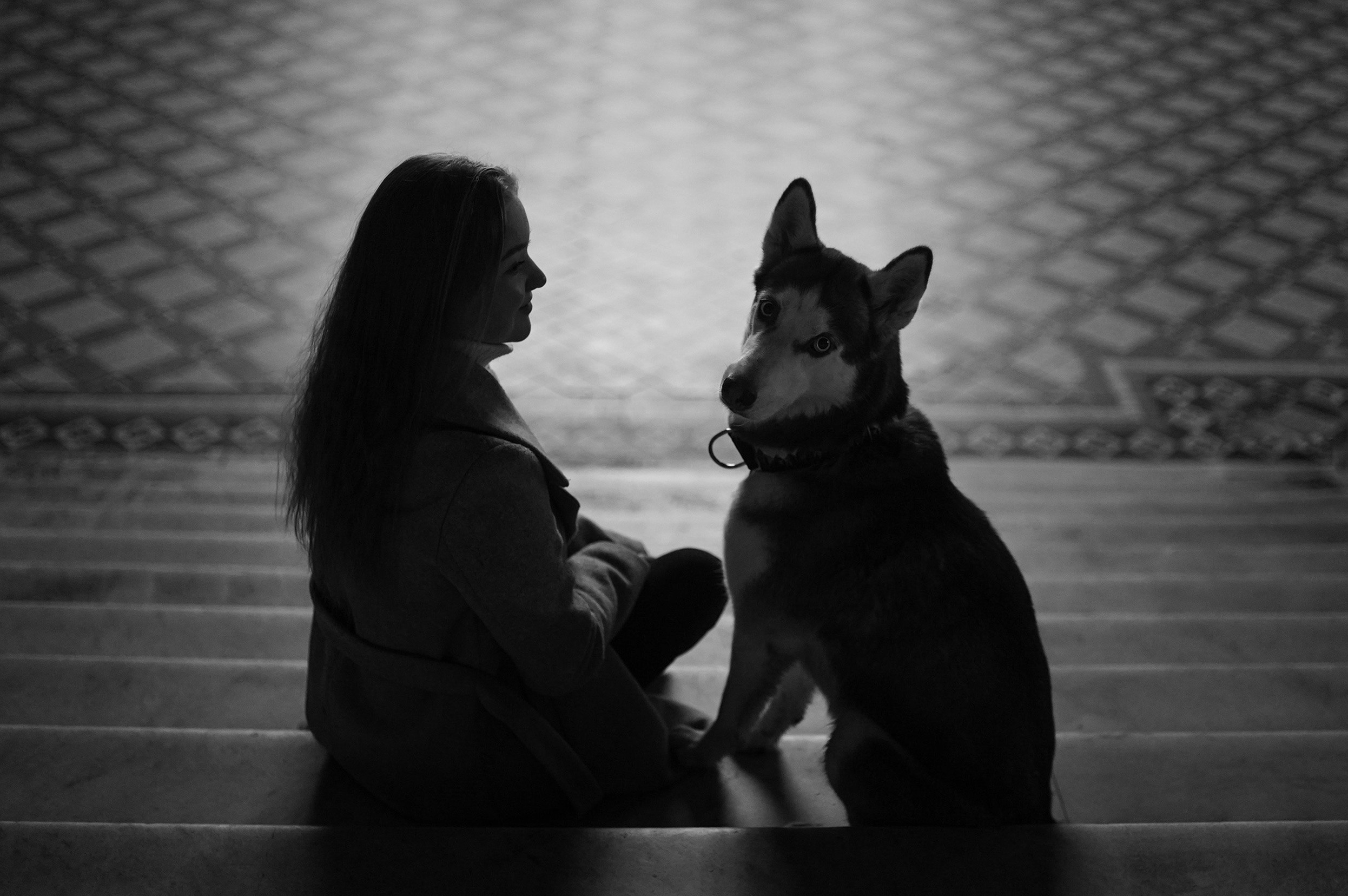 На вокзале. Фотограф анималист