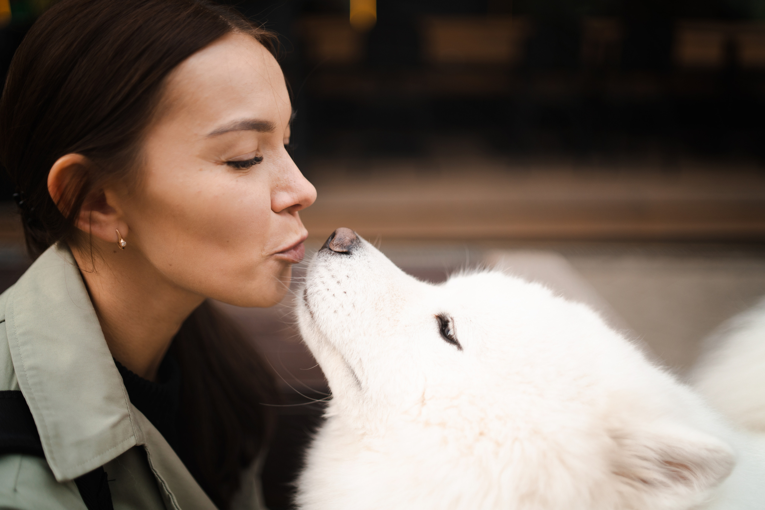 Белый и пушистый. Фотограф анималист