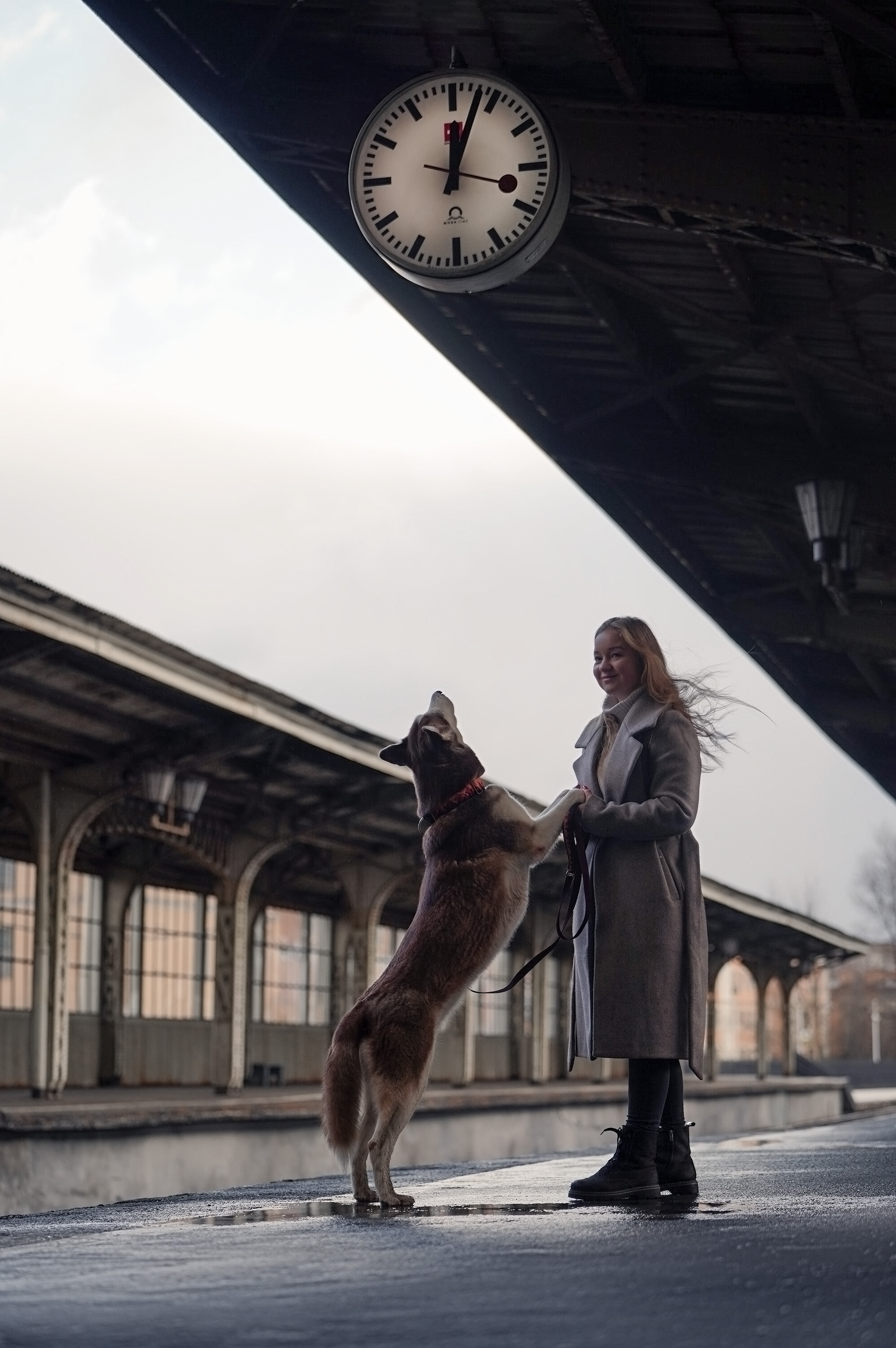 На вокзале. Фотограф анималист