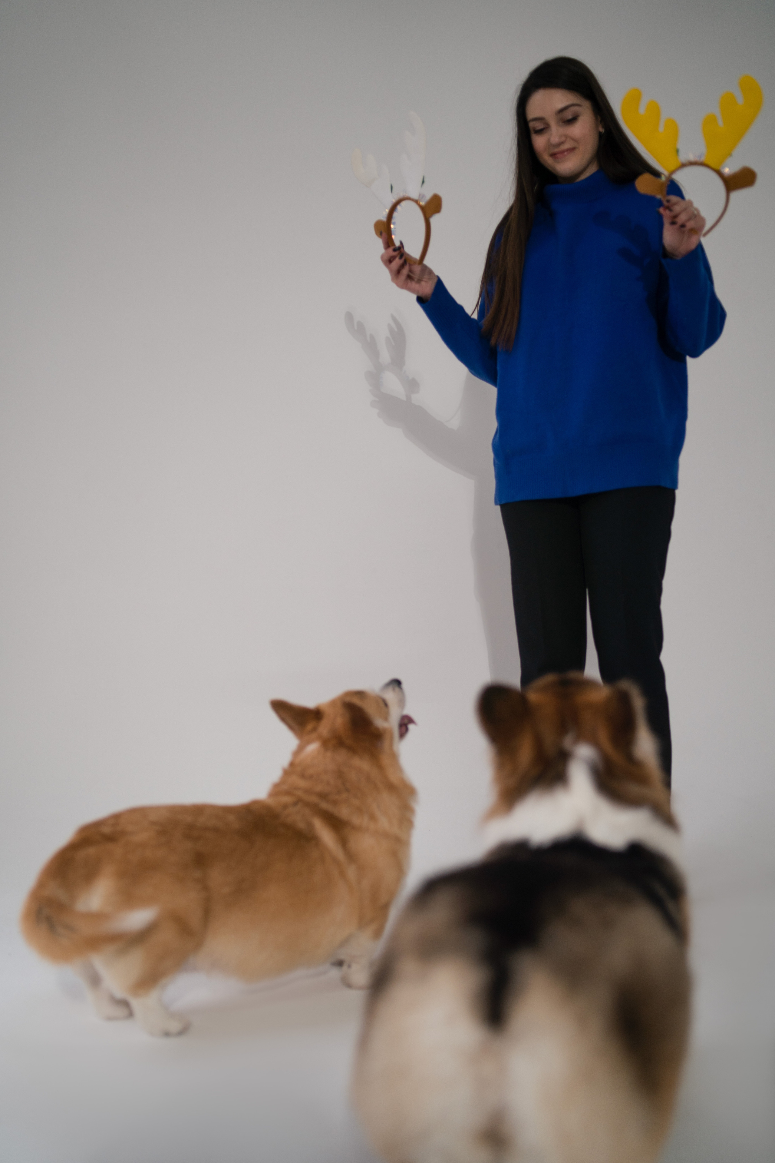 Марина и ее коржики. Фотограф анималист