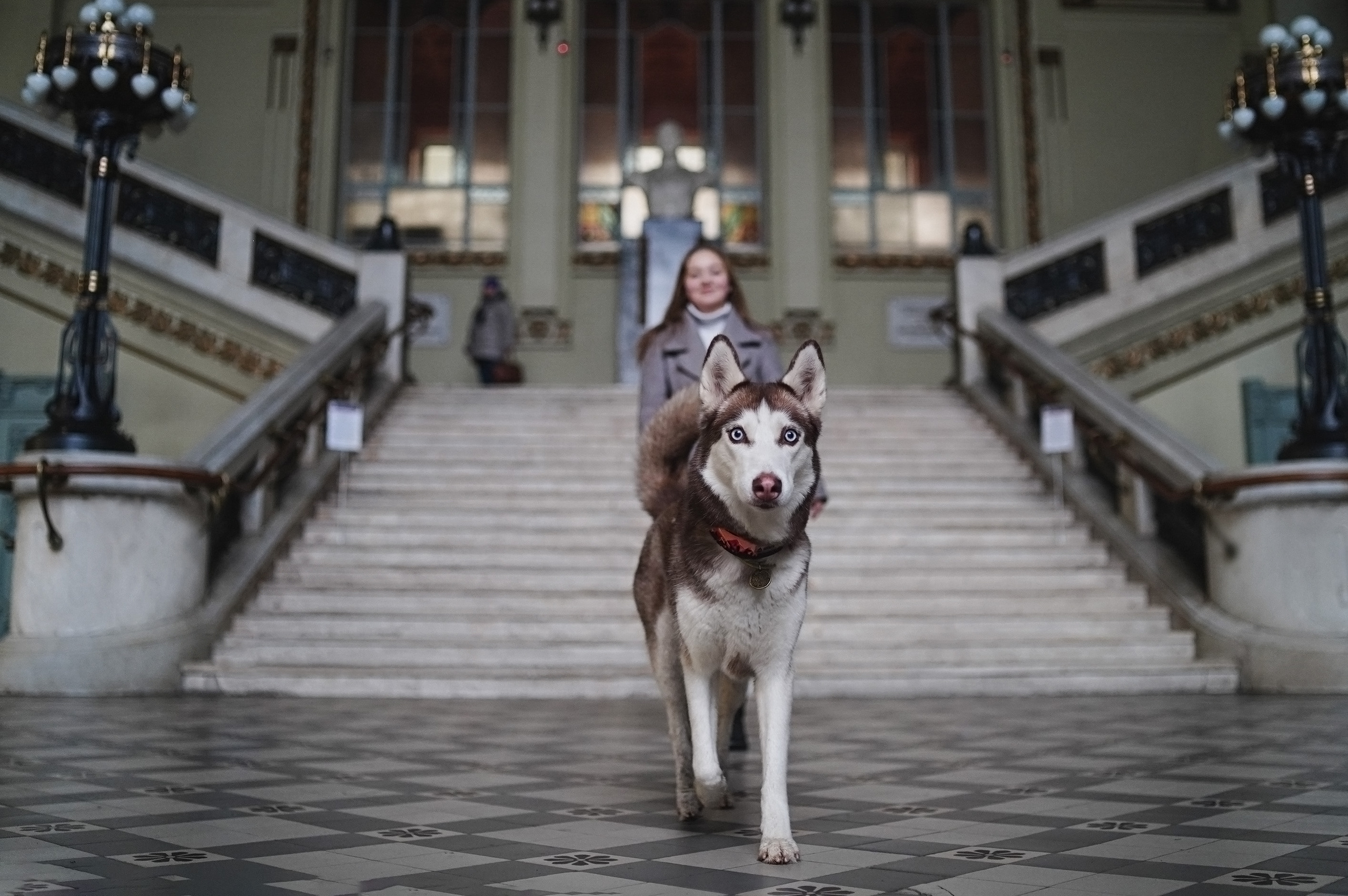 На вокзале. Фотограф анималист