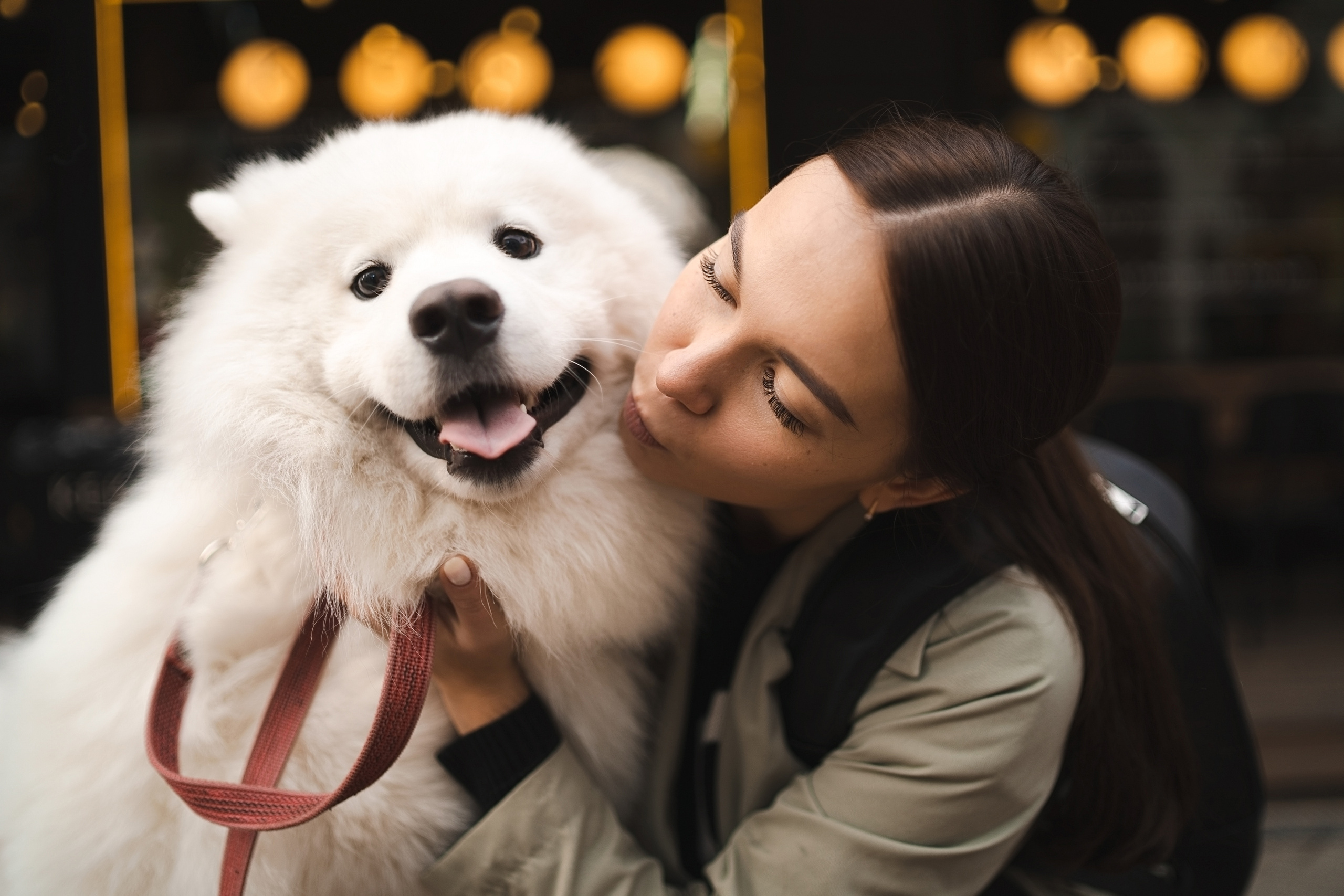 Белый и пушистый. Фотограф анималист