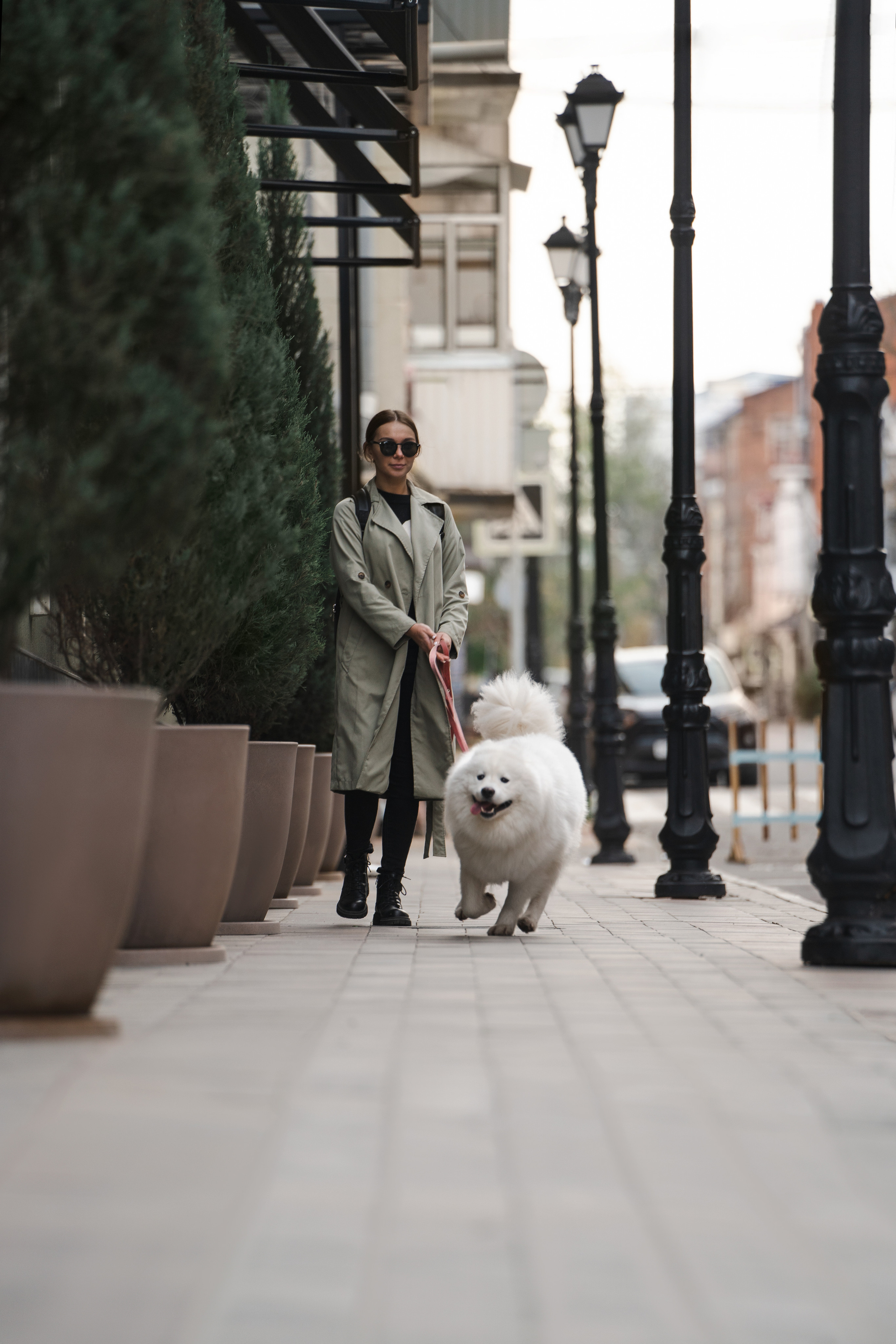 Белый и пушистый. Фотограф анималист