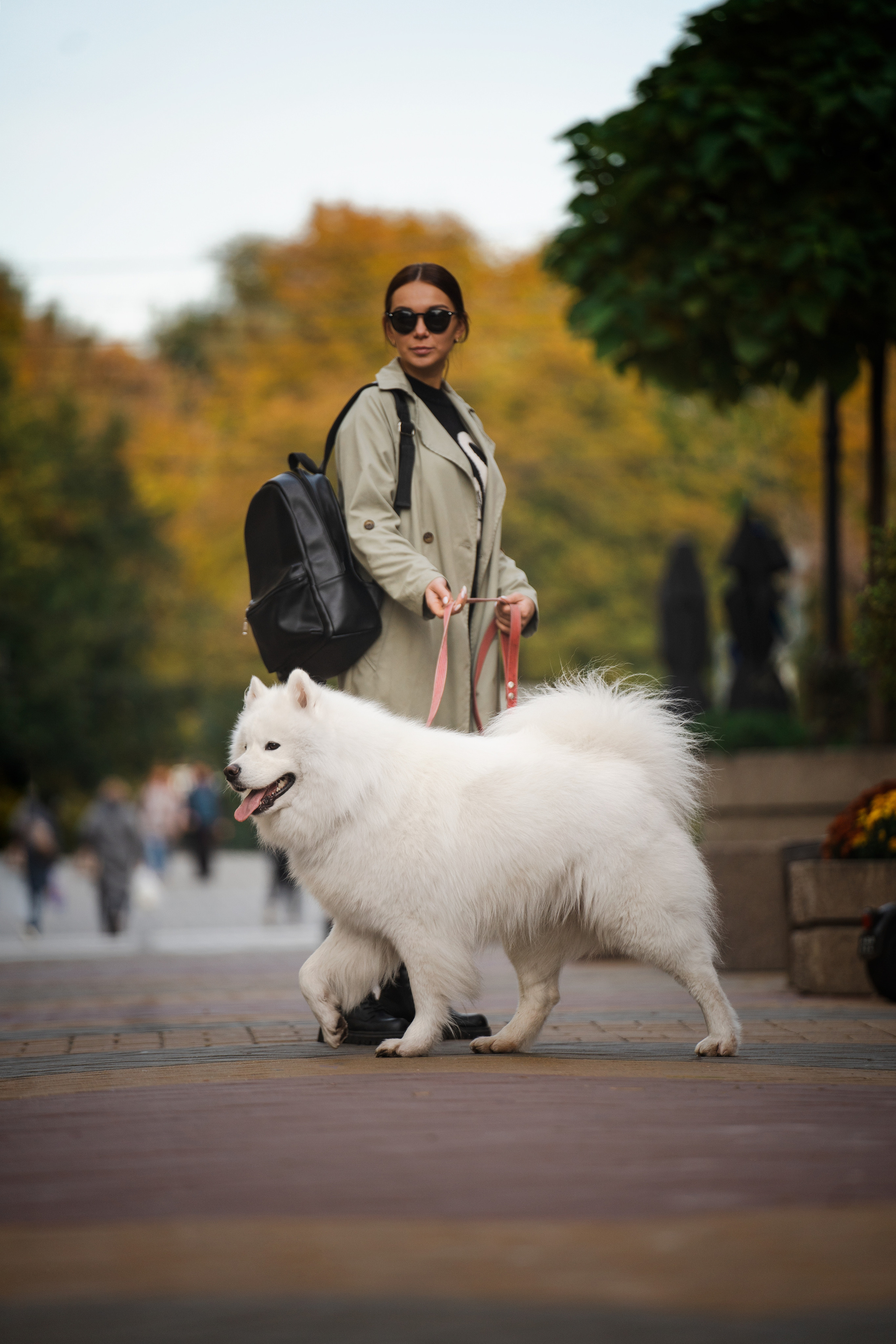 Белый и пушистый. Фотограф анималист