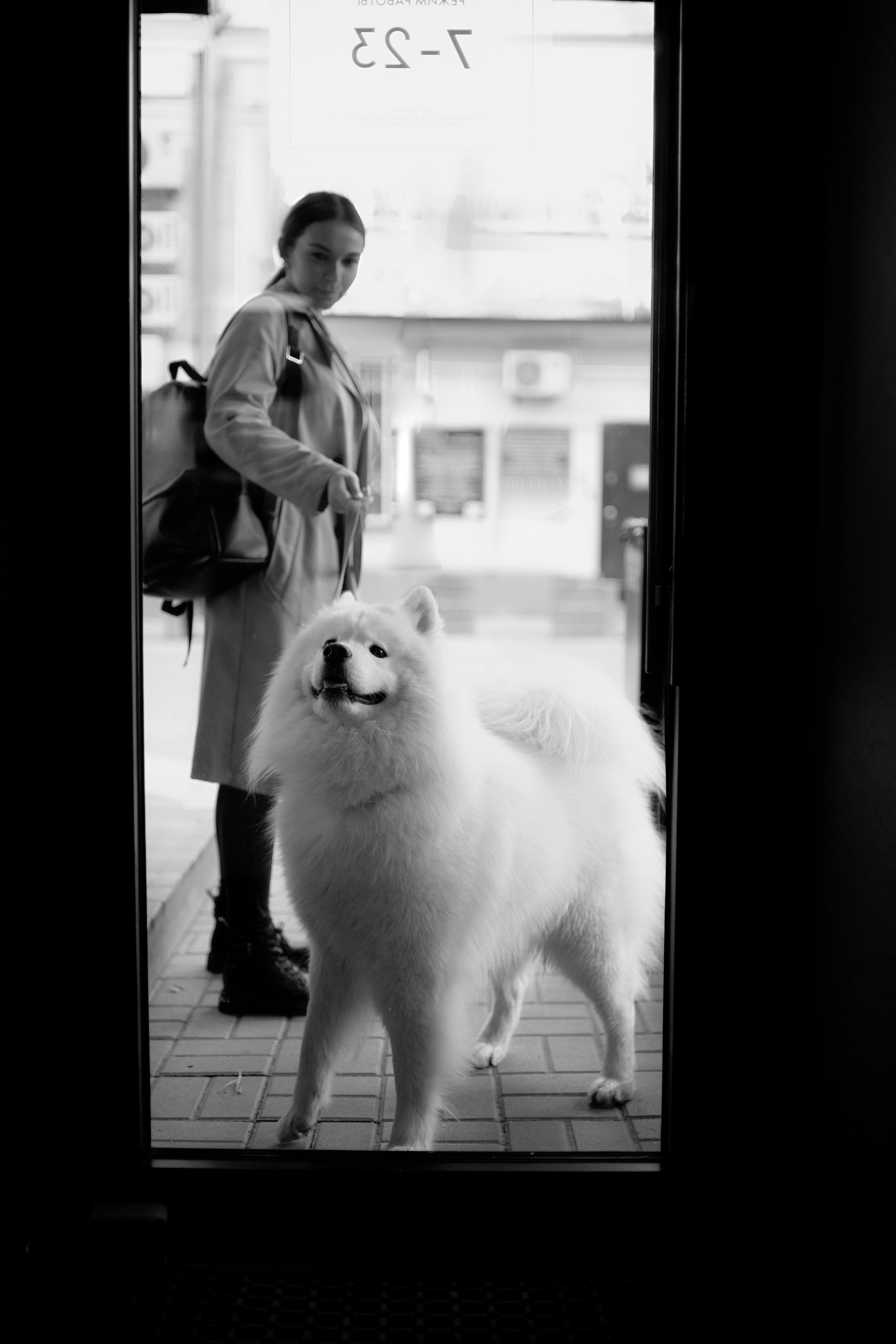 Белый и пушистый. Фотограф анималист