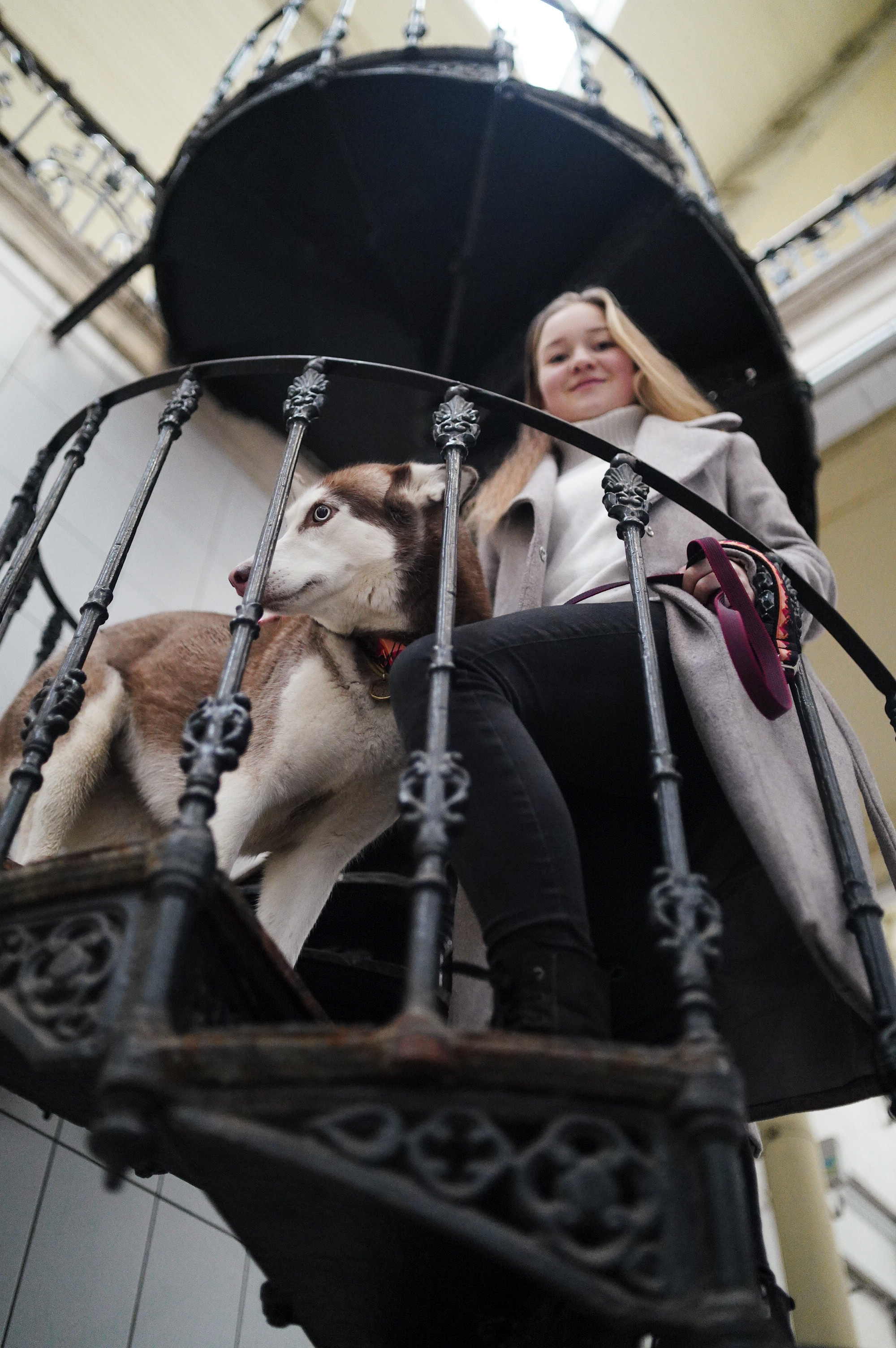 На вокзале. Фотограф анималист