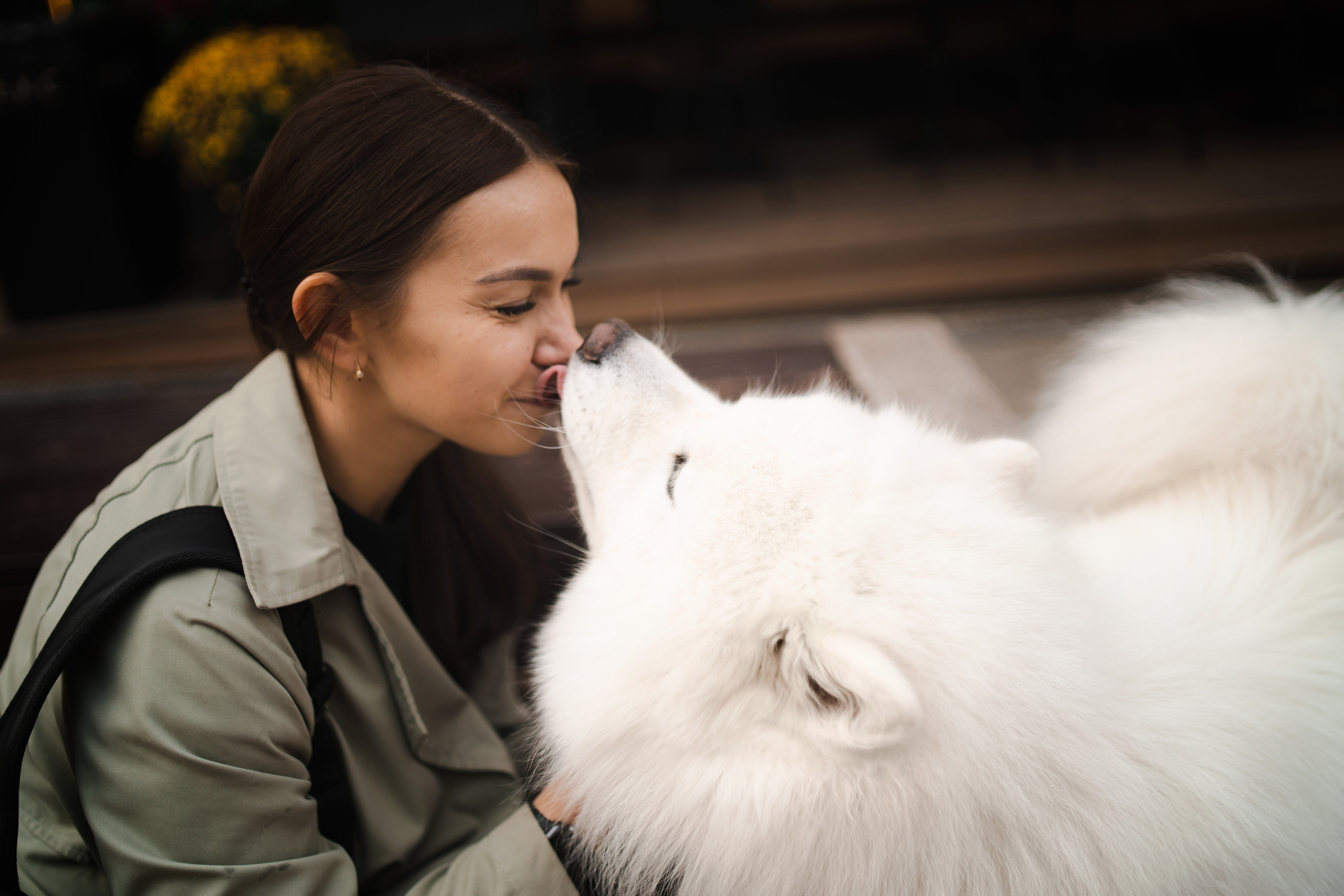 Белый и пушистый. Фотограф анималист