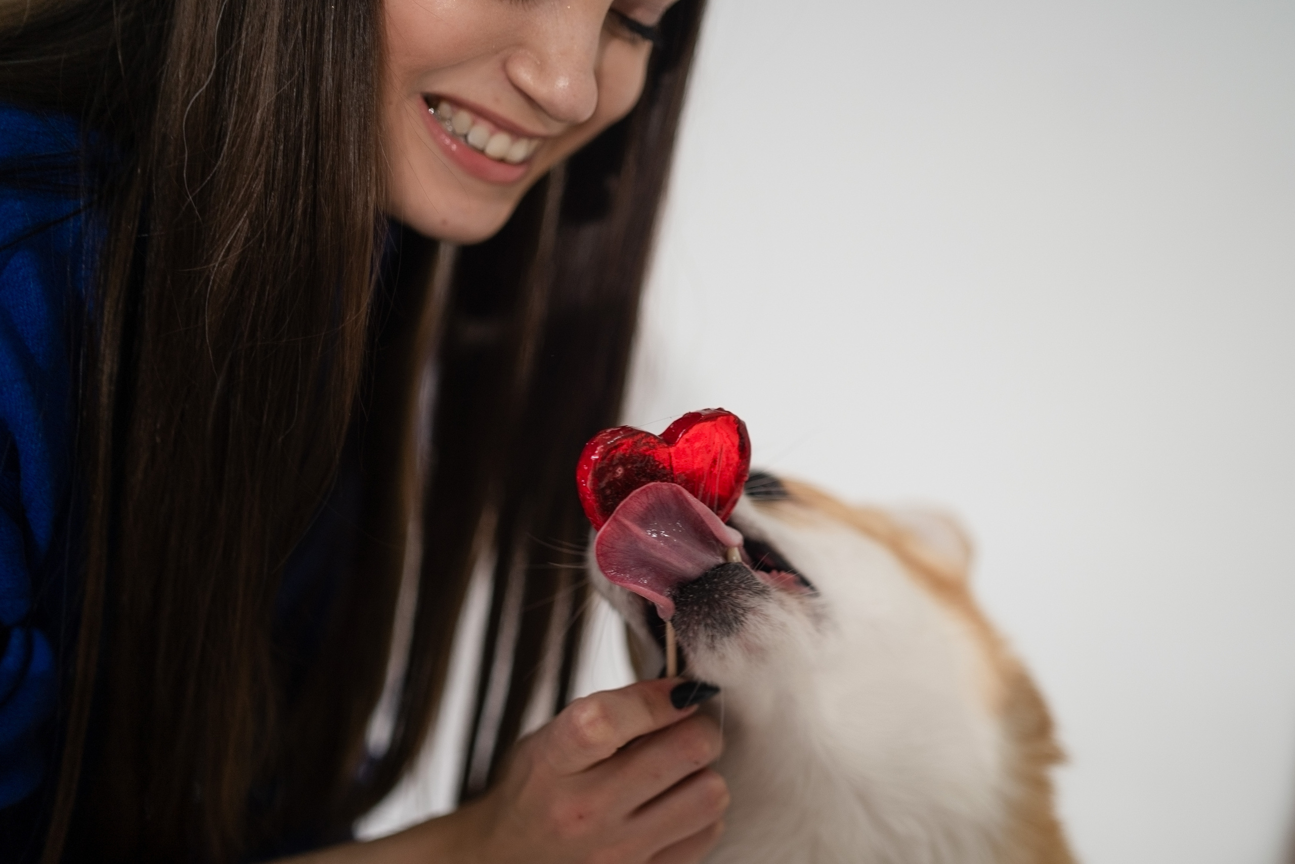 Марина и ее коржики. Фотограф анималист