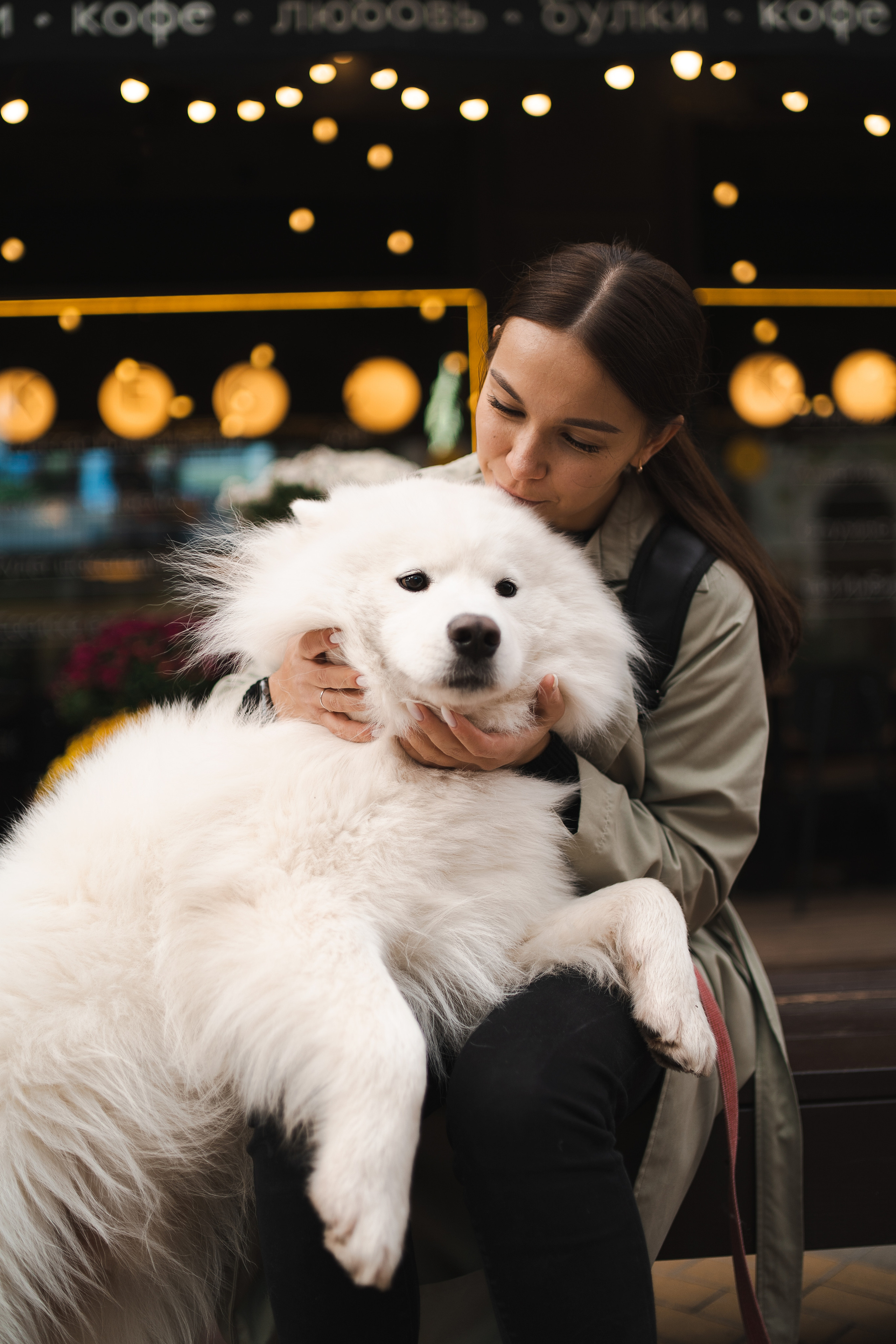 Белый и пушистый. Фотограф анималист