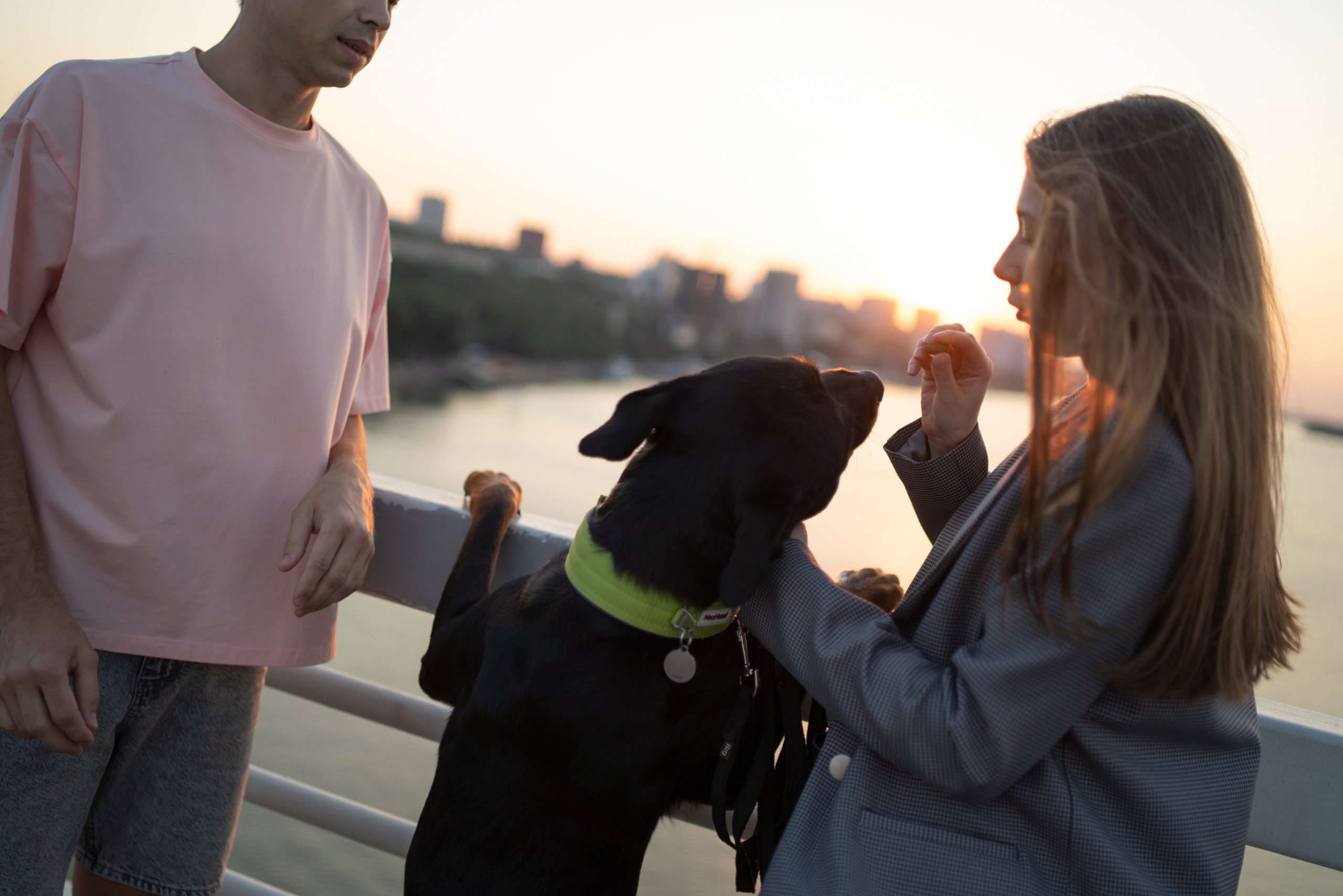 Амадик на рассвете. Фотограф анималист