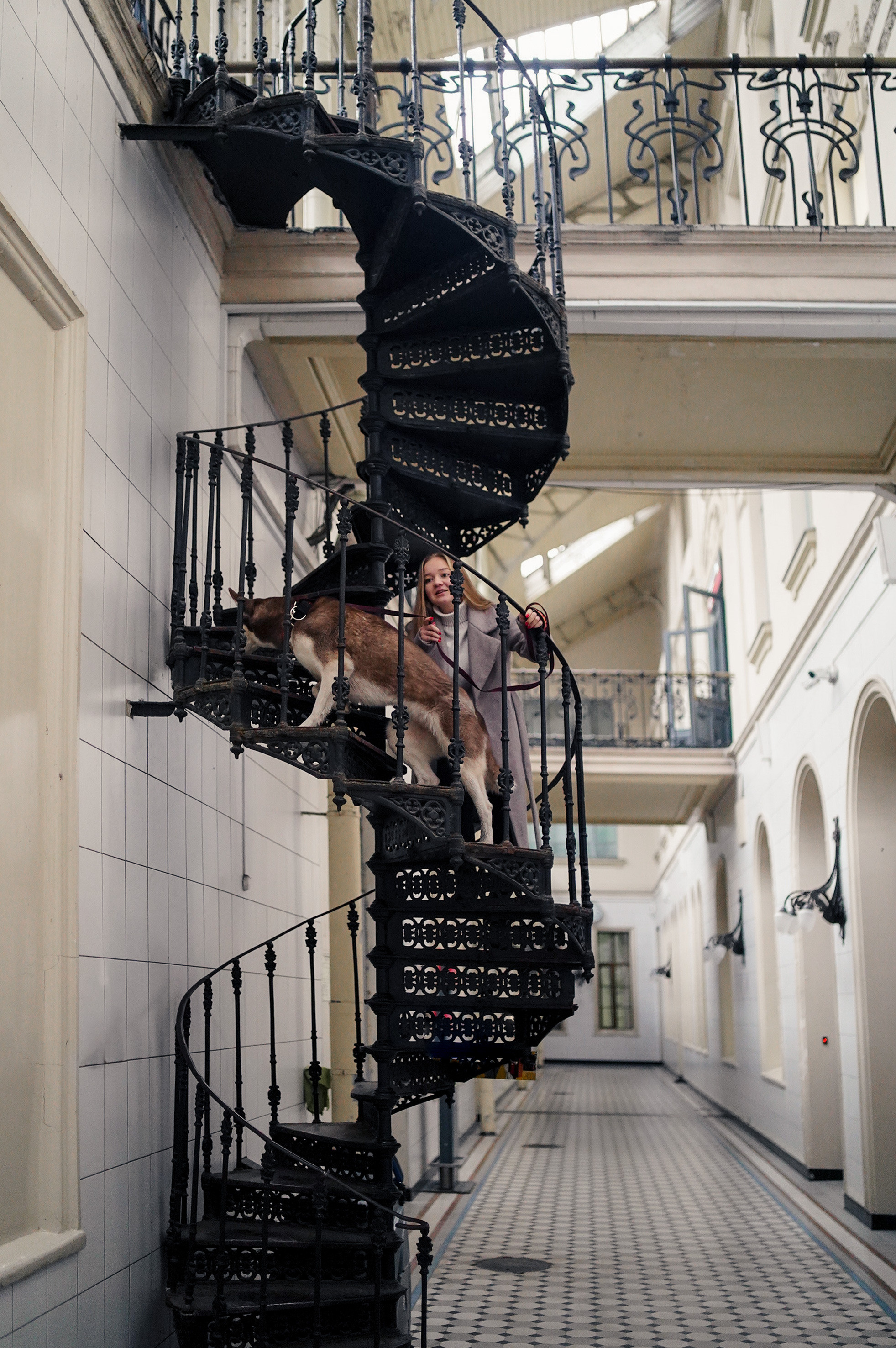 На вокзале. Фотограф анималист