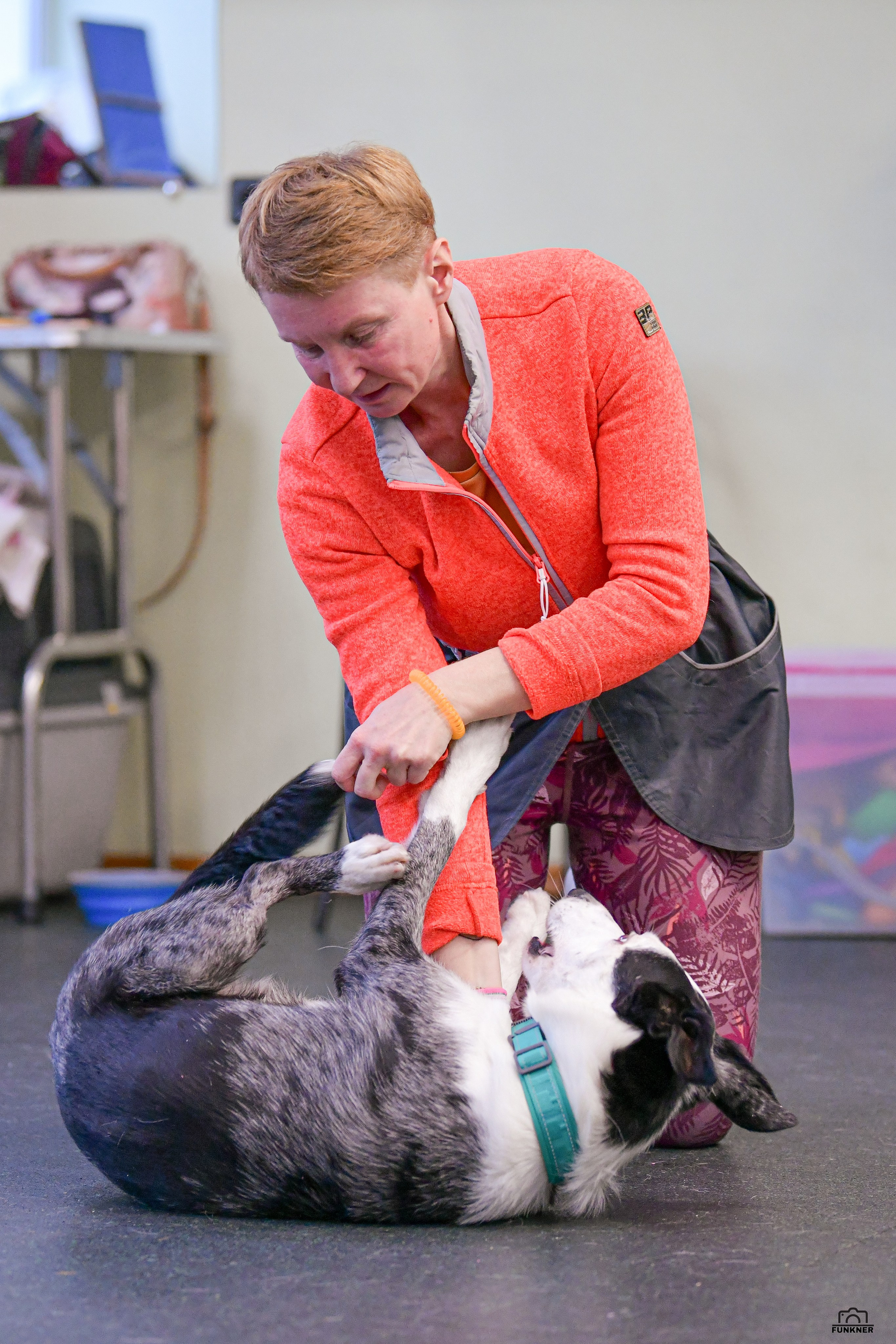 Кинологический клуб «Бодрый хвост». Свой взгляд через объектив