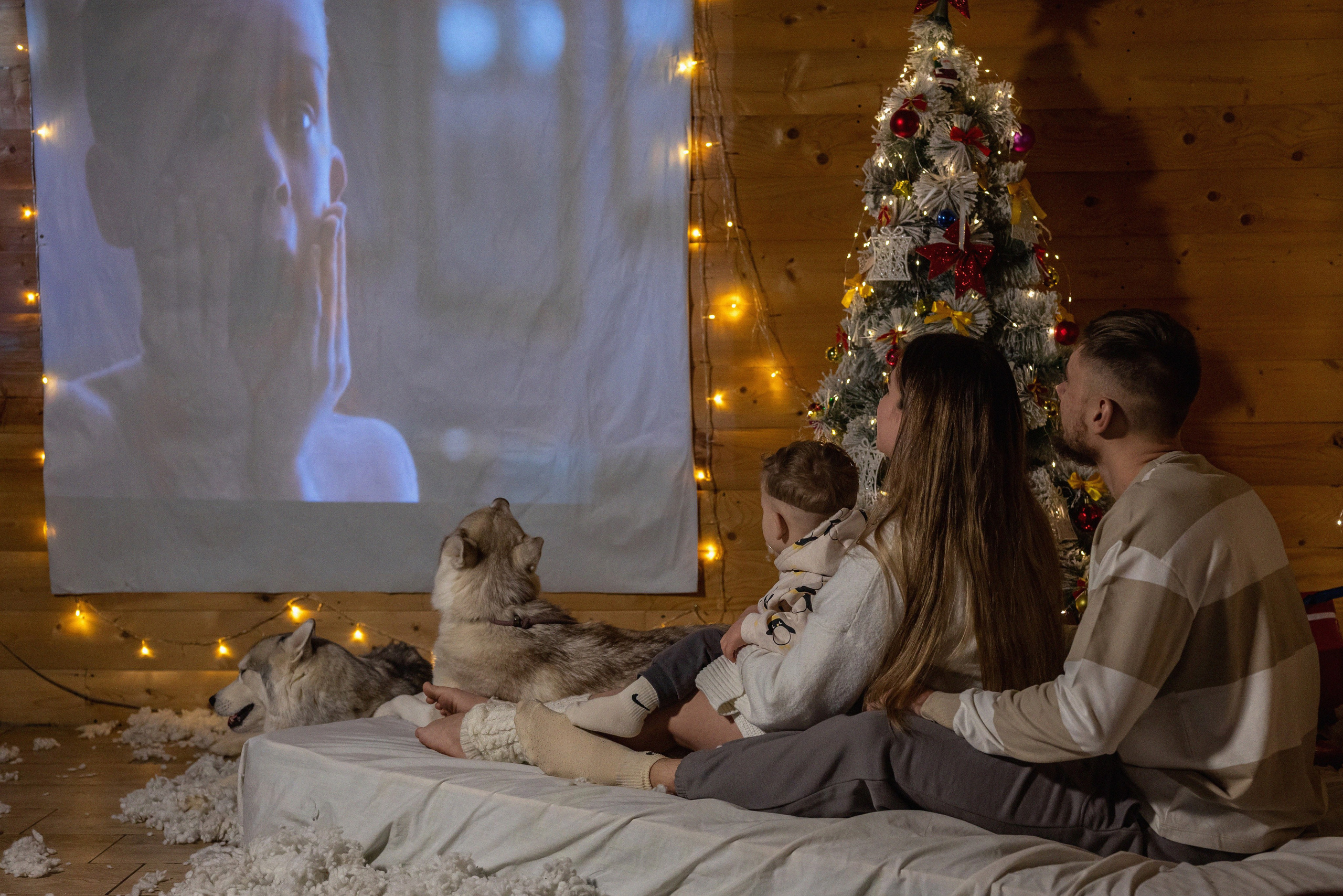 Фотопроект с хаски 2024 г. Фотограф в городе Салават