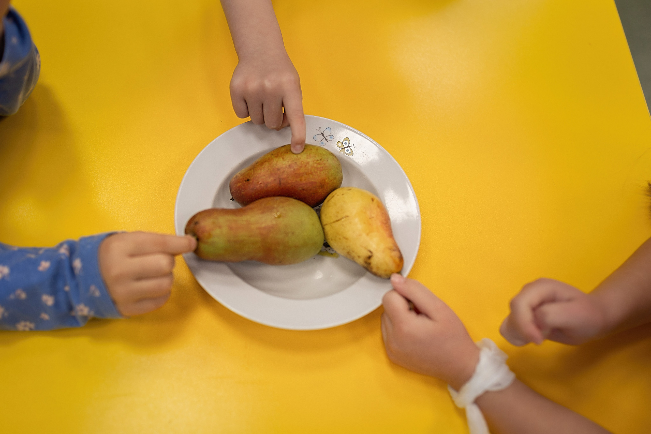 День в саду_ноябрь 2024. Семейный фотограф в Санкт-Петербурге