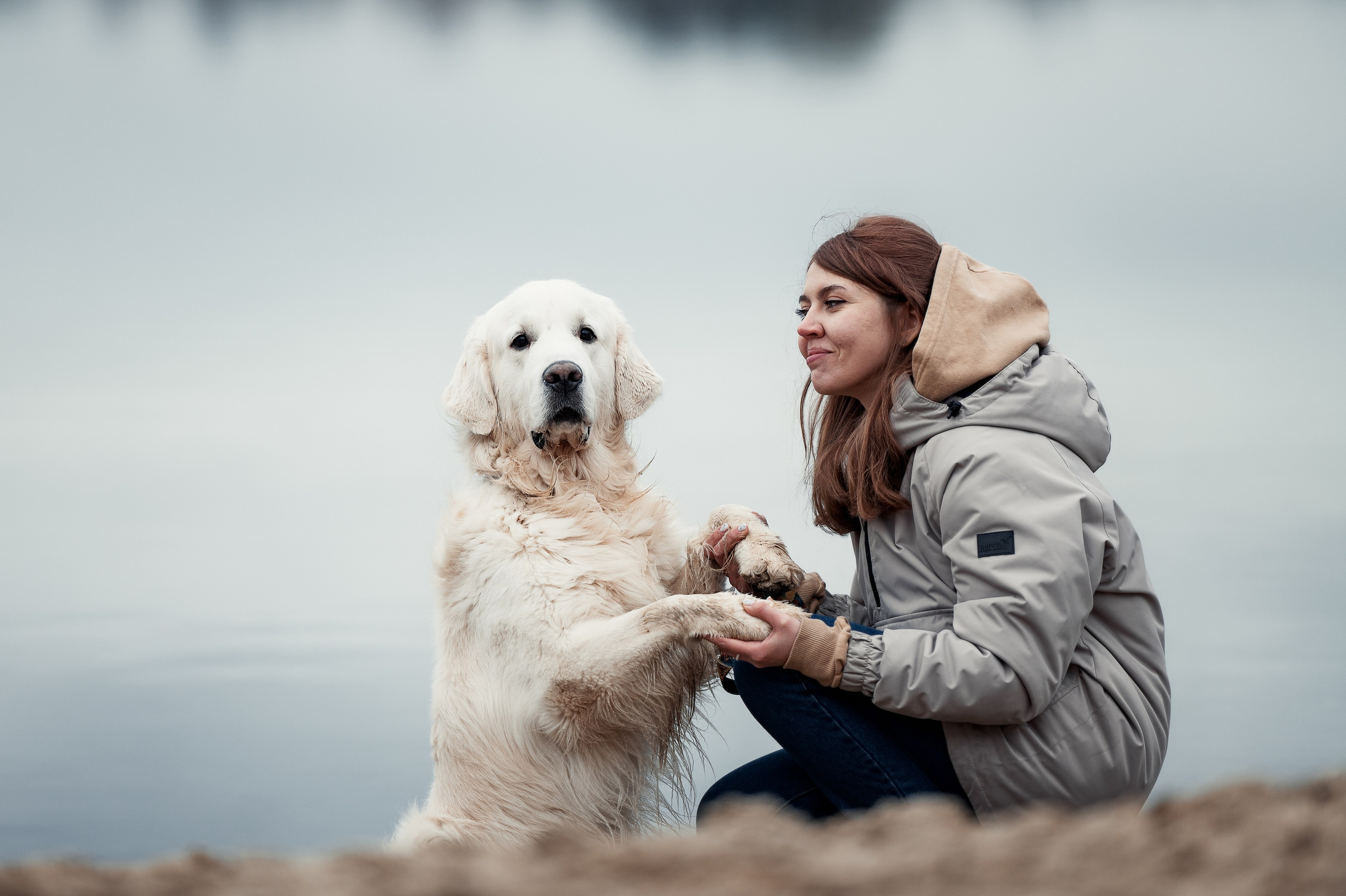 Айс и золотая осень. Фотограф-анималист