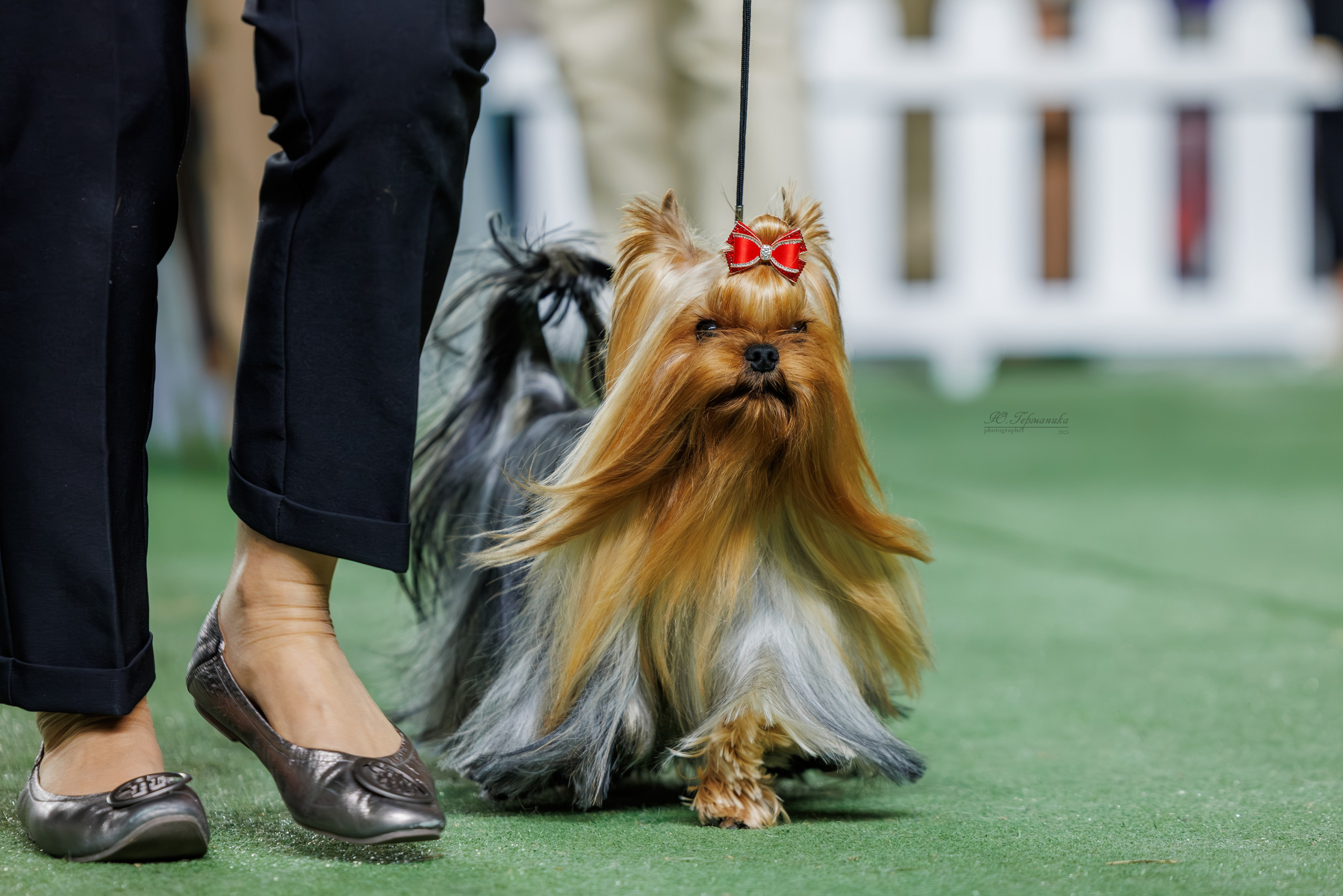 Телави 11-12.10.2025. Фотограф-анималист Юлия Германика