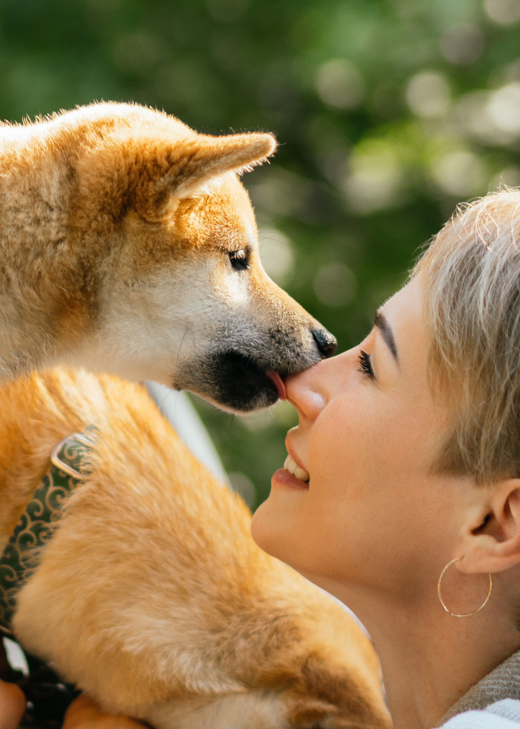 Любимые питомцы. Живые снимки! Фотограф Даша Бендер