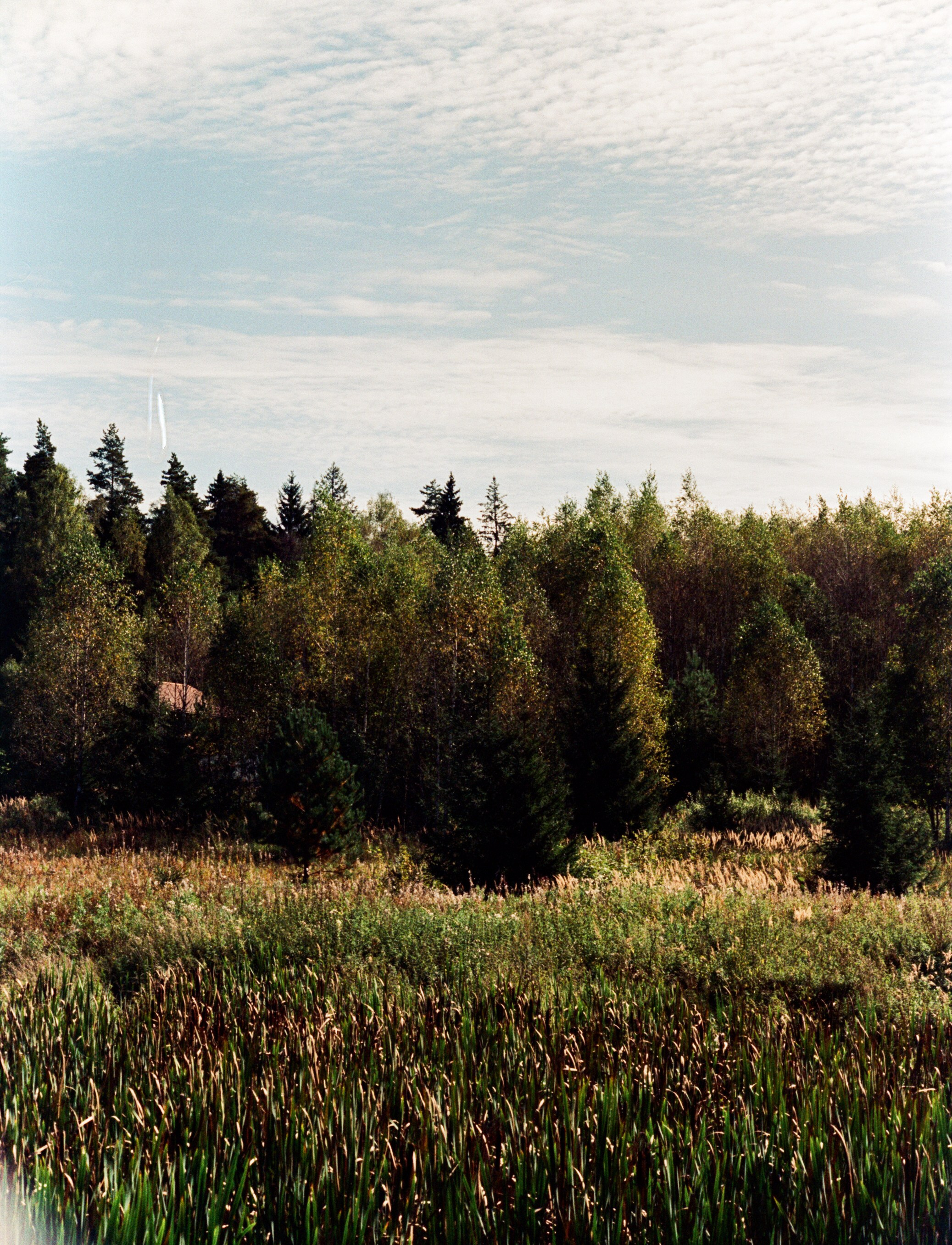 Nikon F100 примеры фотографий