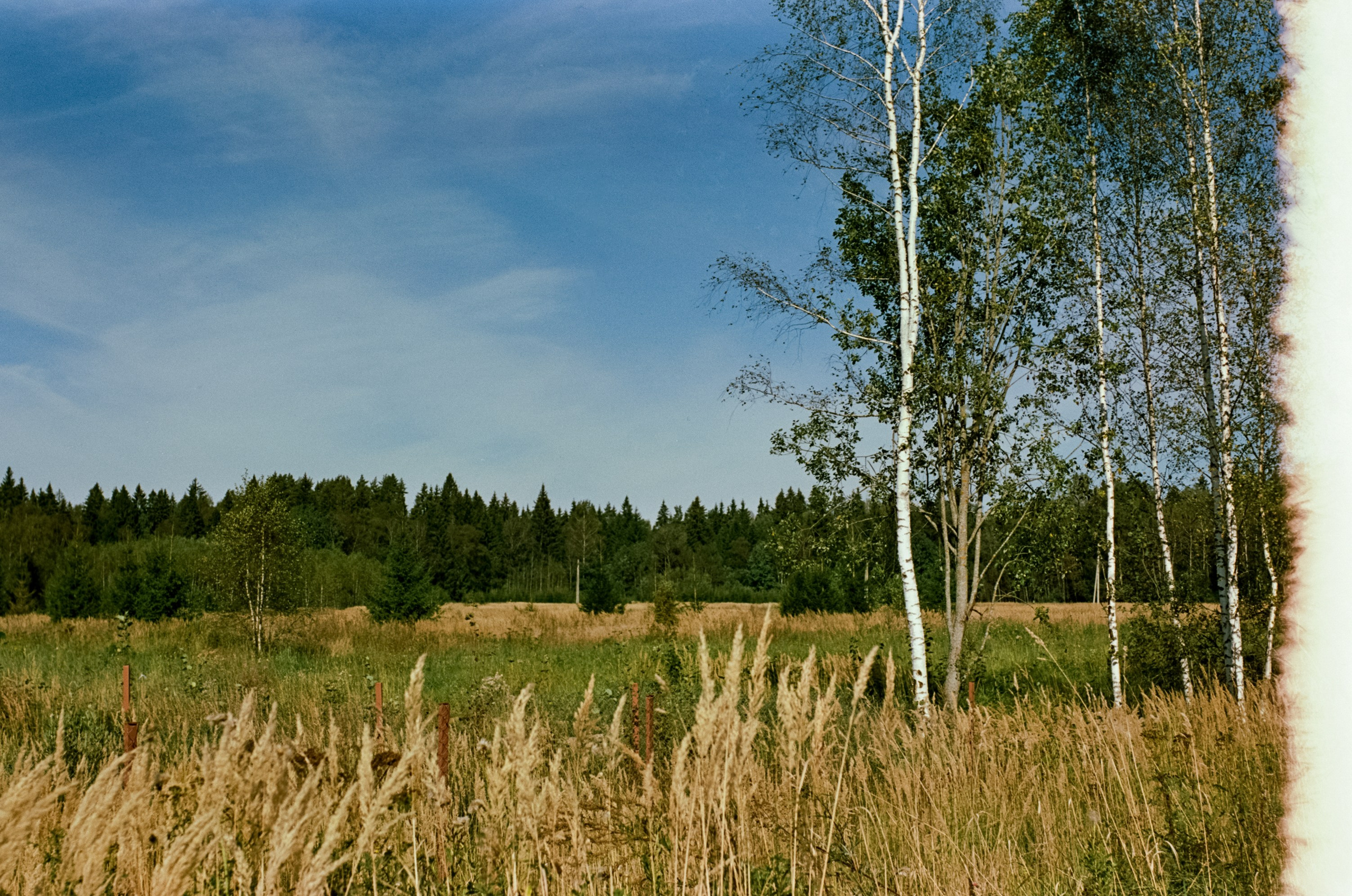 Mamiya 645 обзор и примеры фотографий