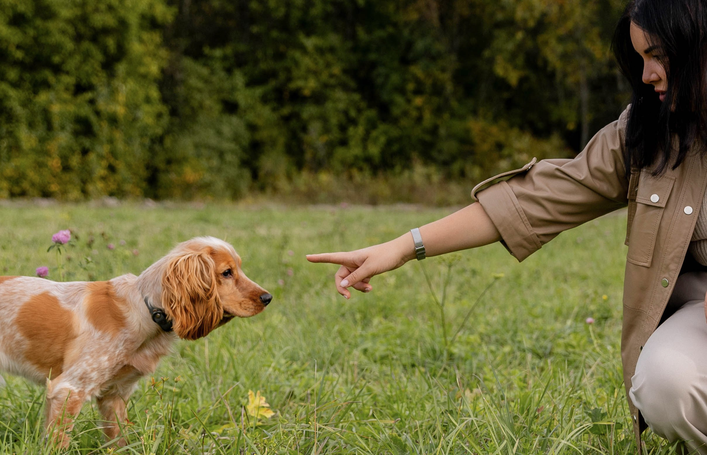 Лера. Свадебный и семейный фотограф в Карелии