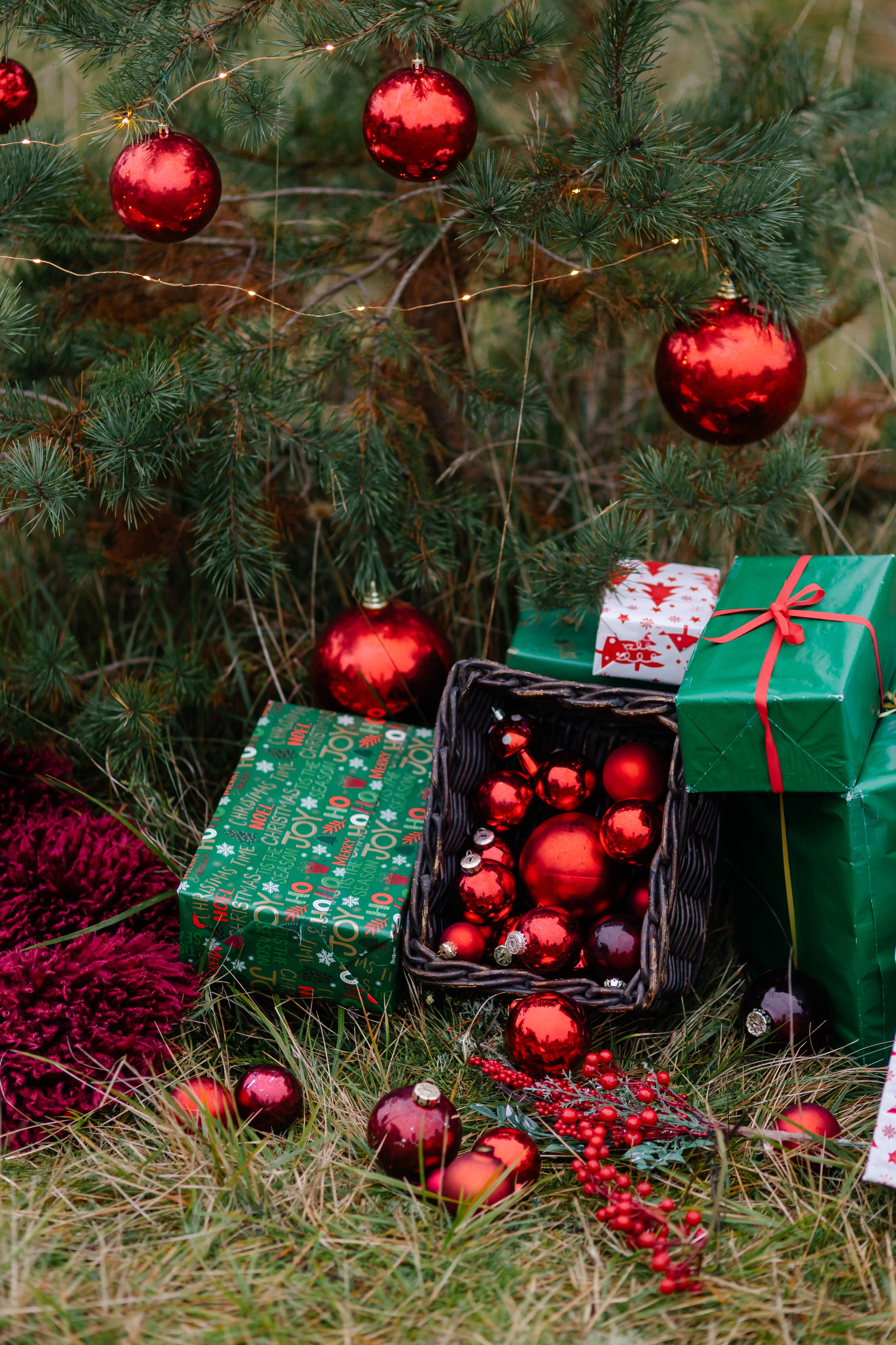 Weihnachtsminis 2024 München. Семейный фотограф в Мюнхене Даша Антипина