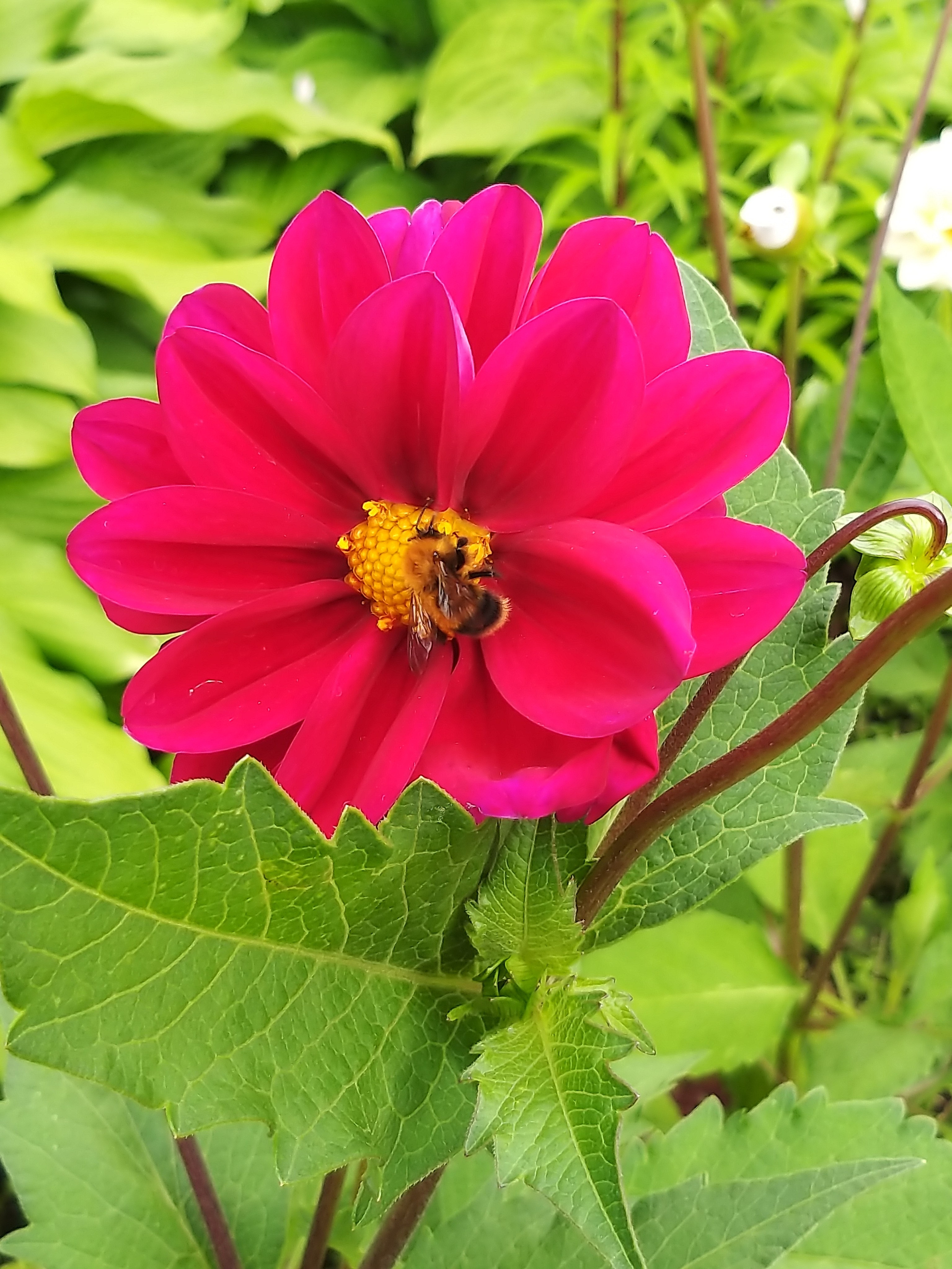 Природа. Фотохудожник BID