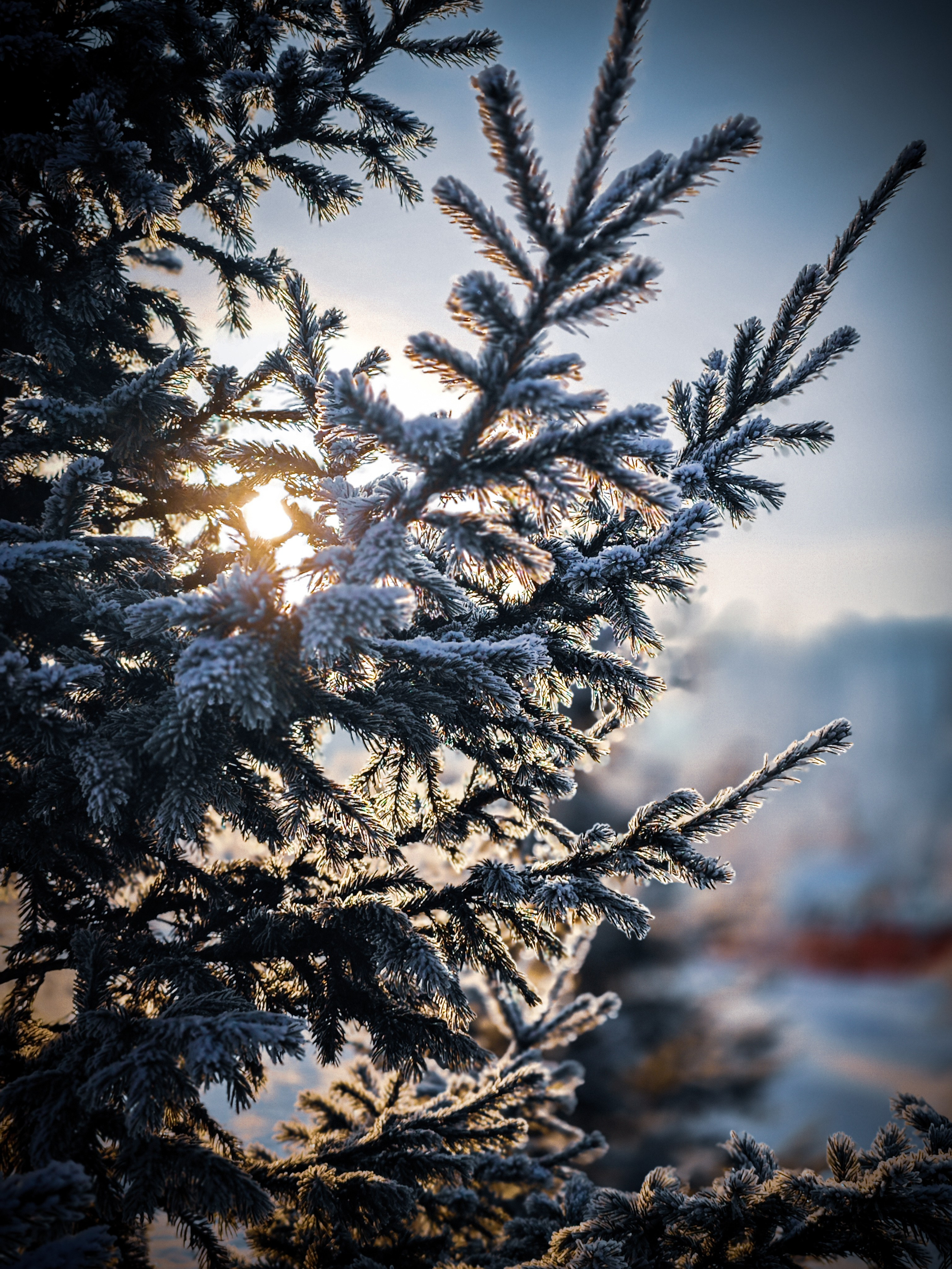 Скоро лето. Игорь Урывский. Фотограф Красноярск