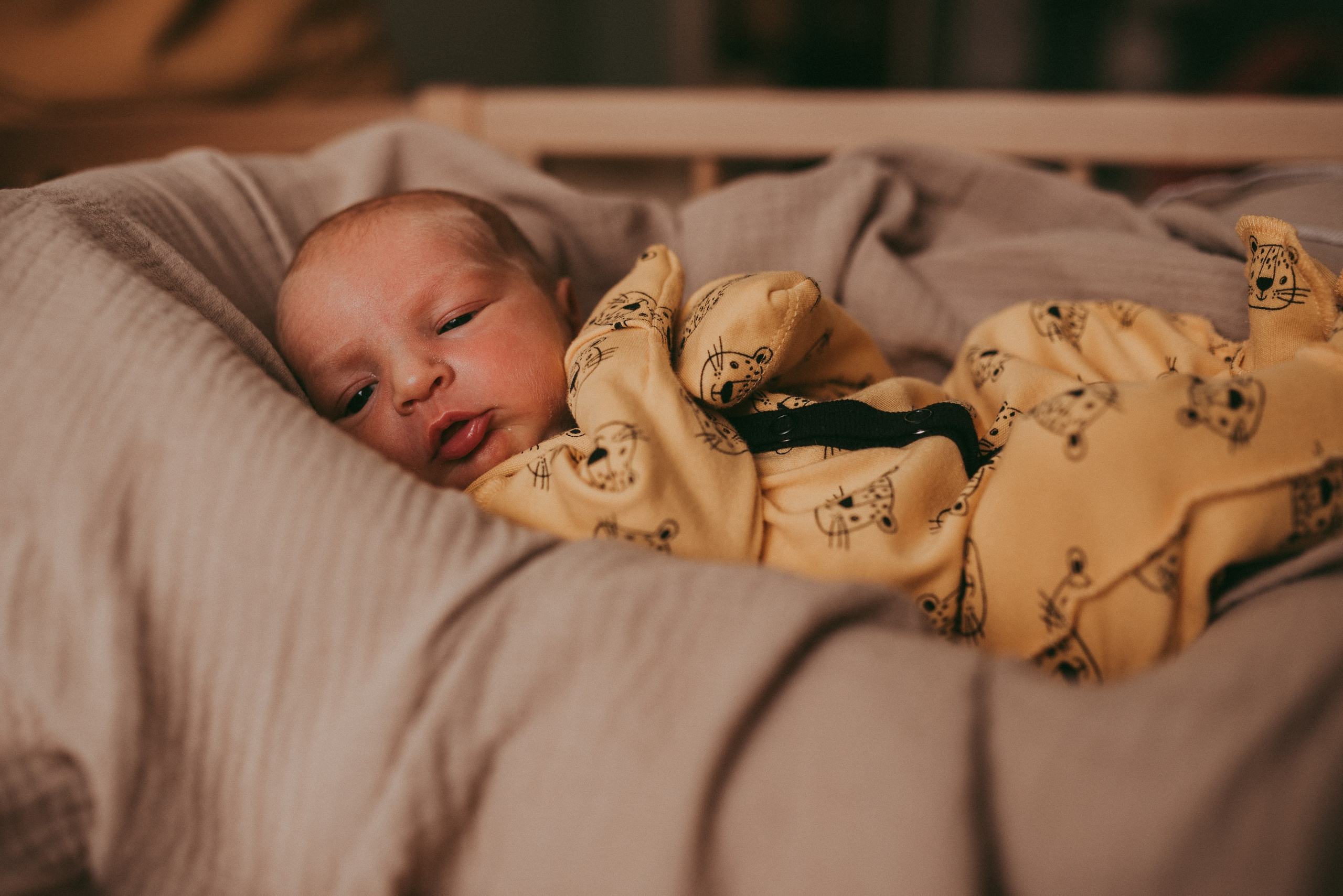 Маленький космос. Семейный и детский фотограф в Новосибирске и Краснообске — Анна Ким