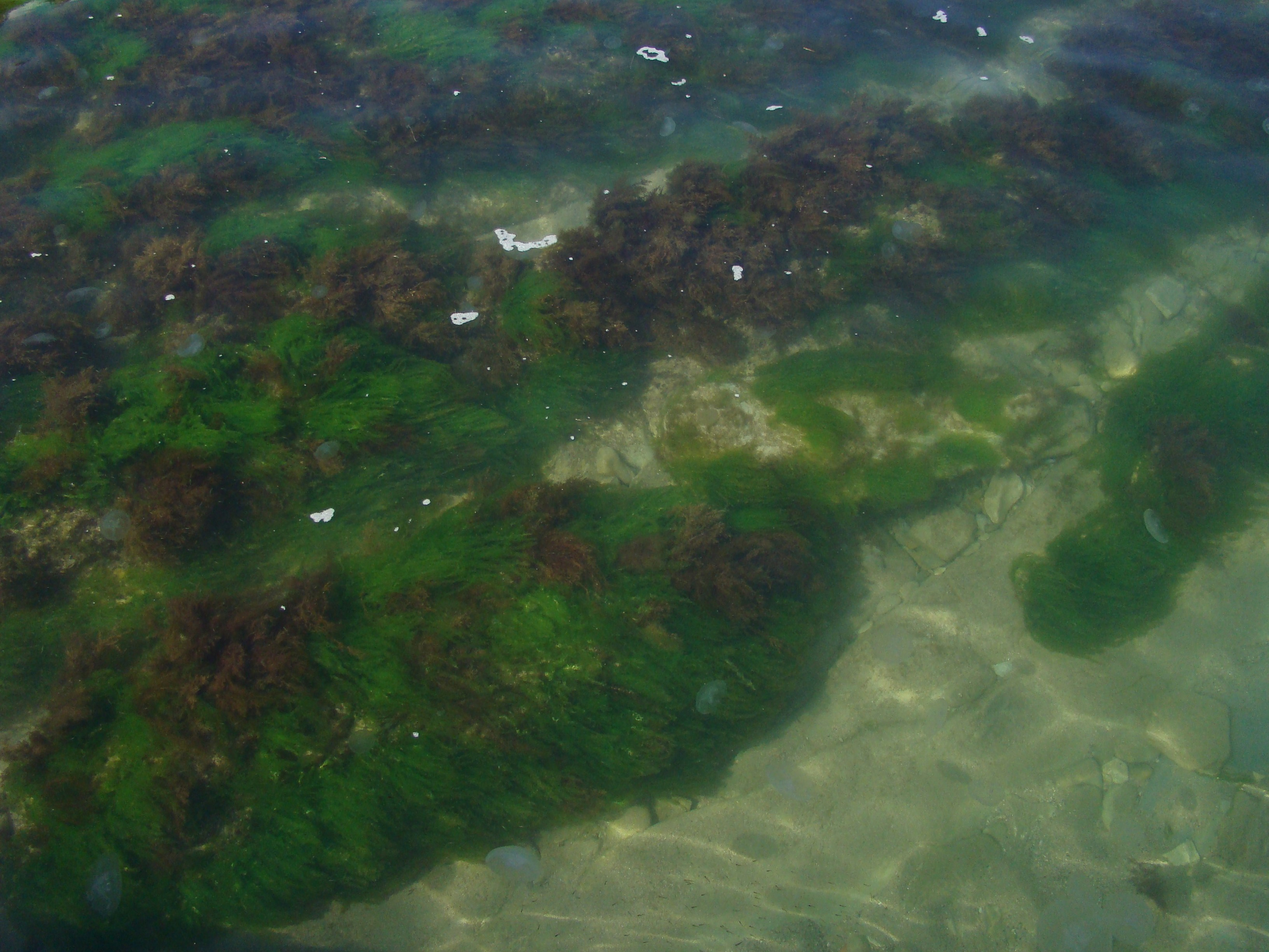 Кабардинка (фото Зевиных) 25.06-24.07.2008. Семейный, Свадебный фотограф СПБ Питер— Романова Екатерина