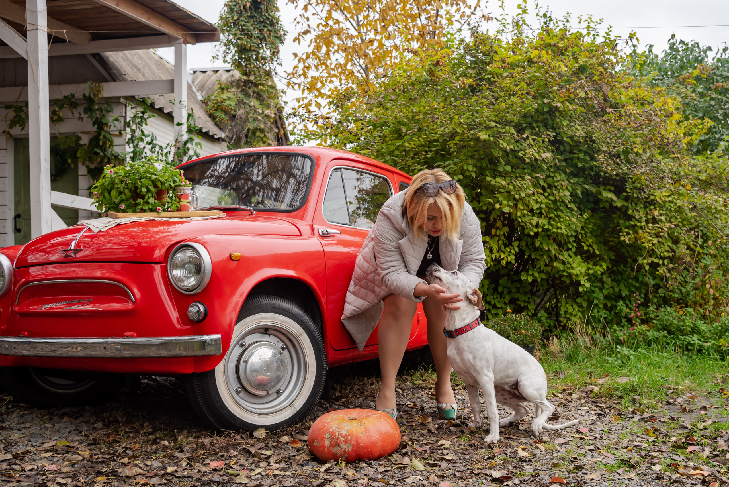 Авакадо. Фотограф Галина Нестерова