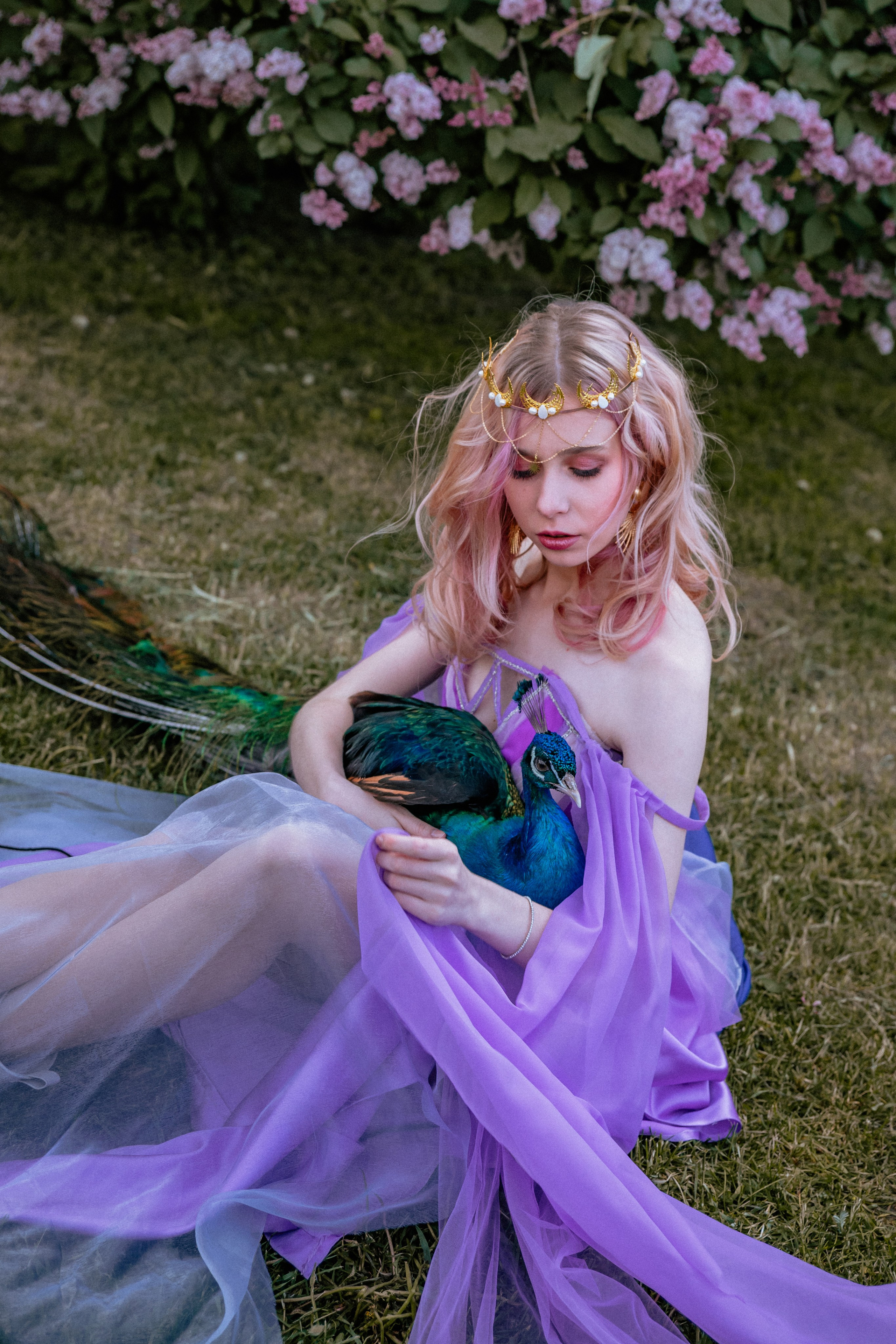 Павлин. Elena Sova — семейный и женский фотограф в Санкт-Петербурге