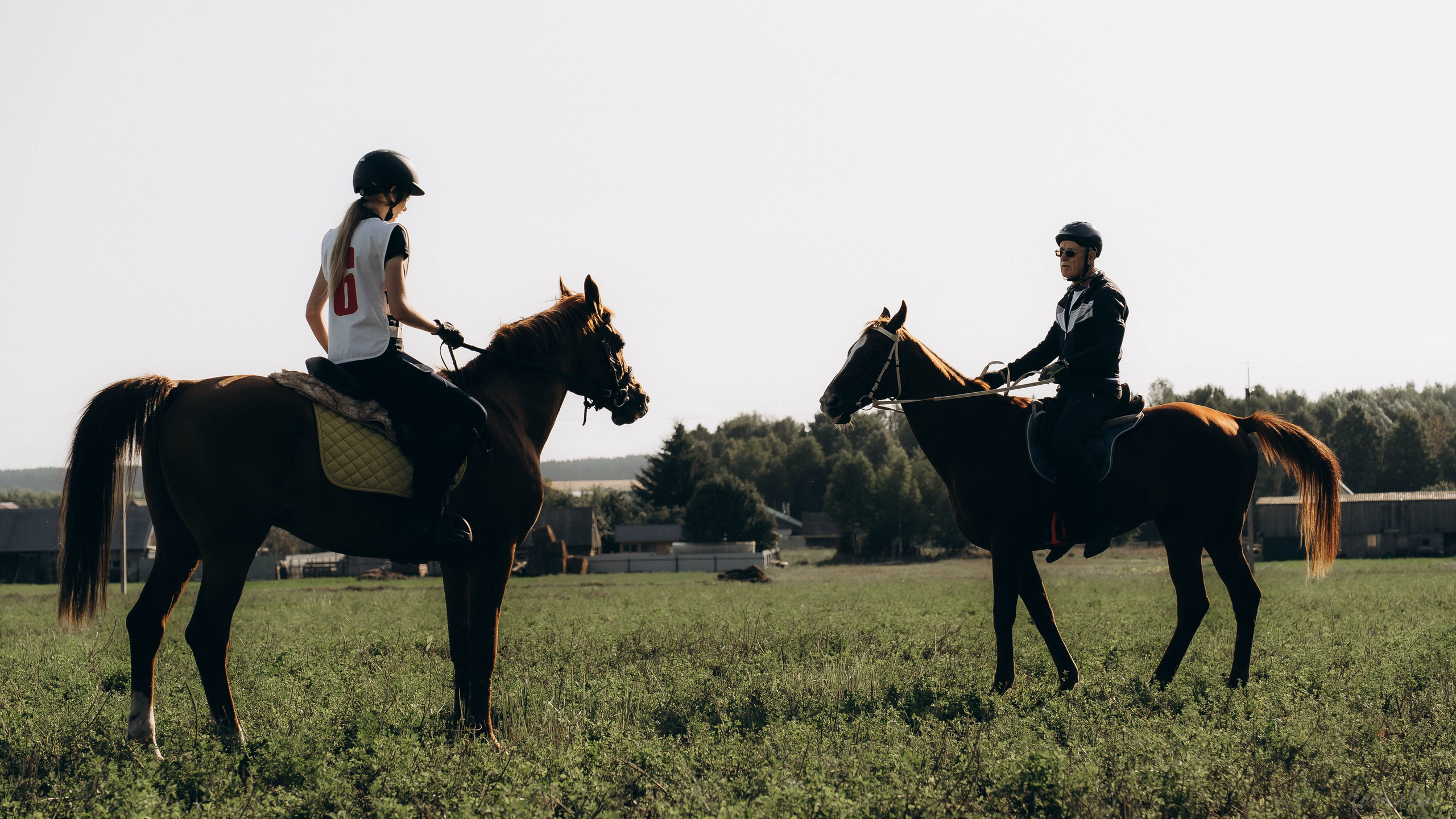 День Коня. Алиса Никитцова | Фотограф в Казани