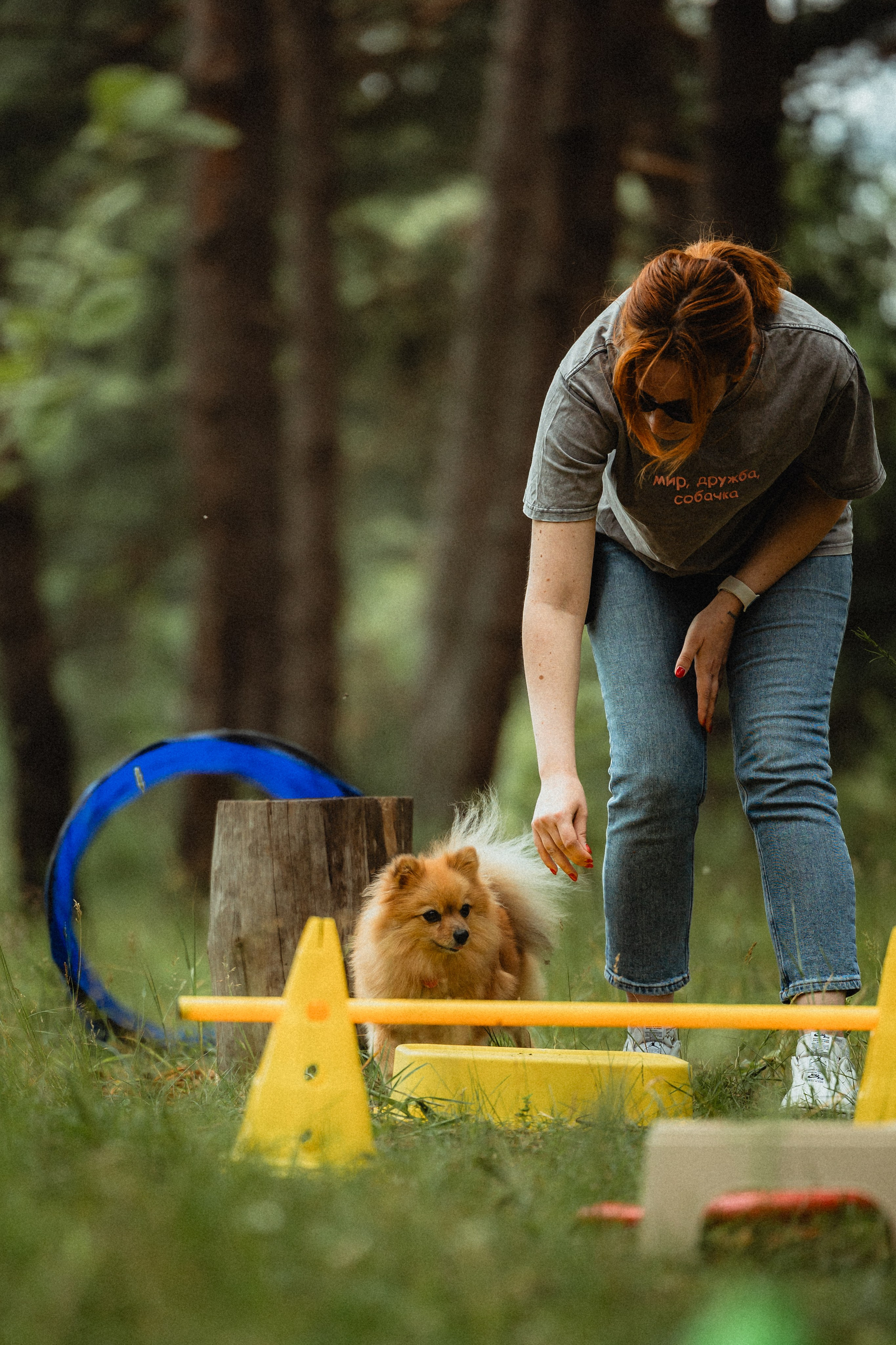 Выездной дог-тренинг от школы «Шерсть имею»