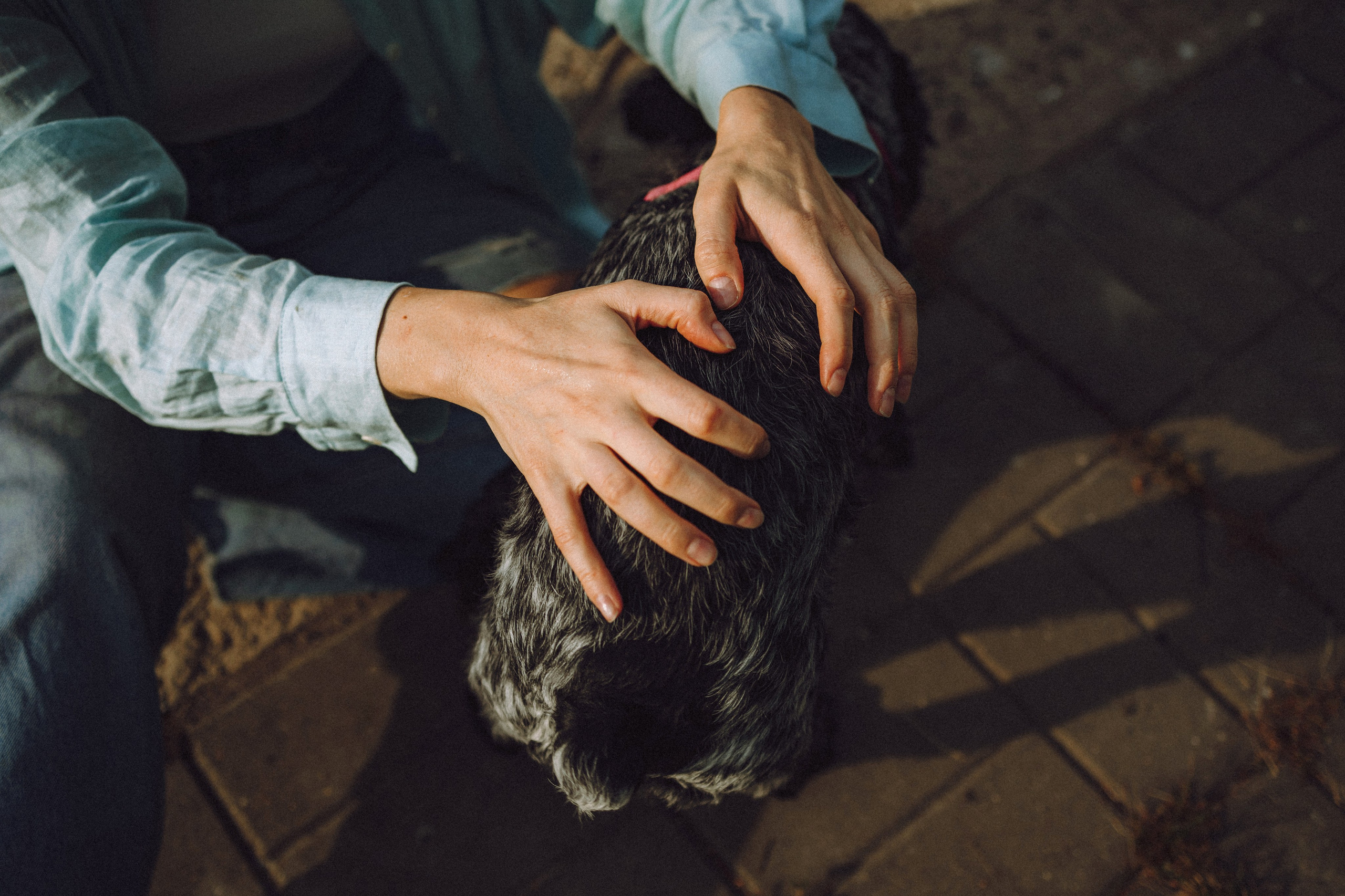 Маша и Ларри