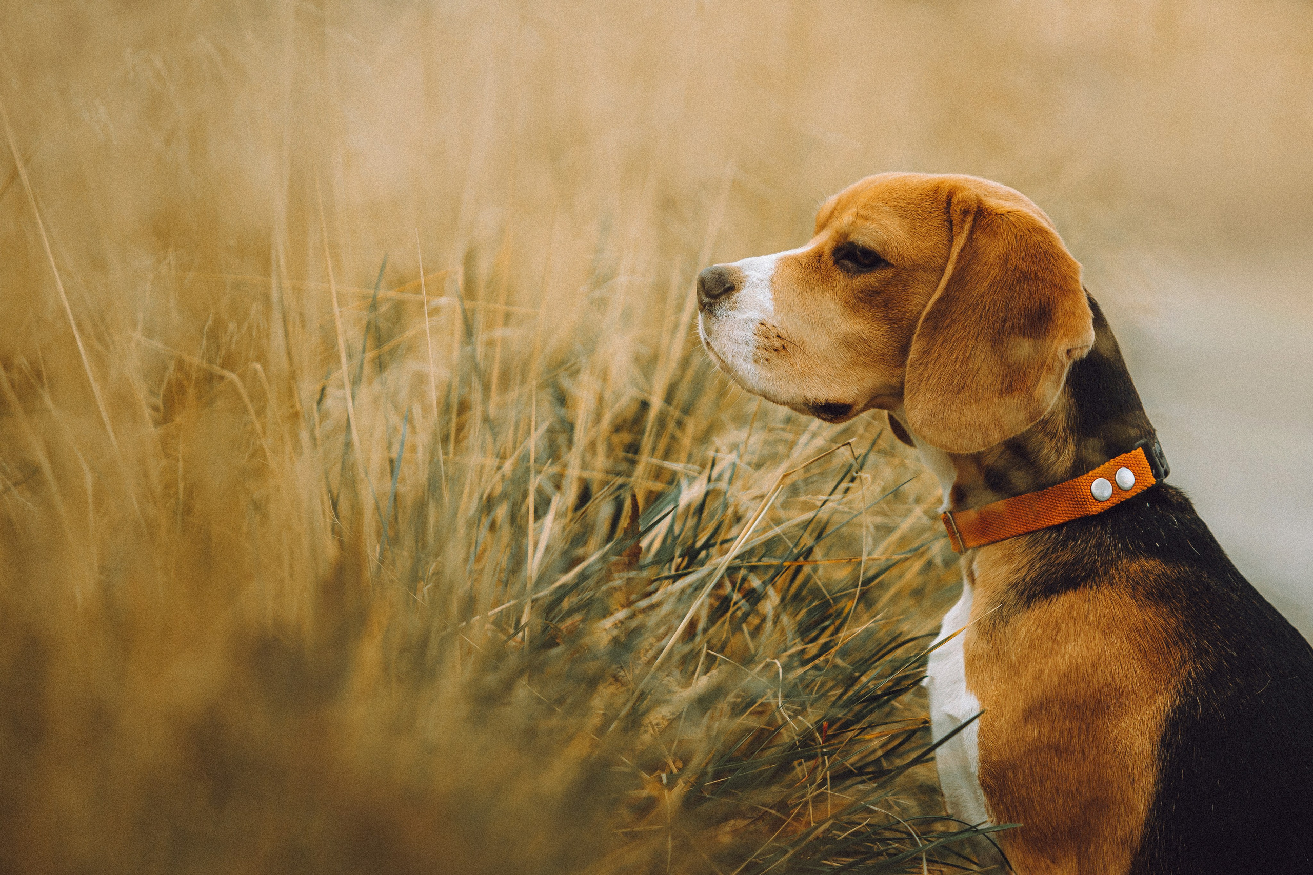 Ксюша и Мэгги