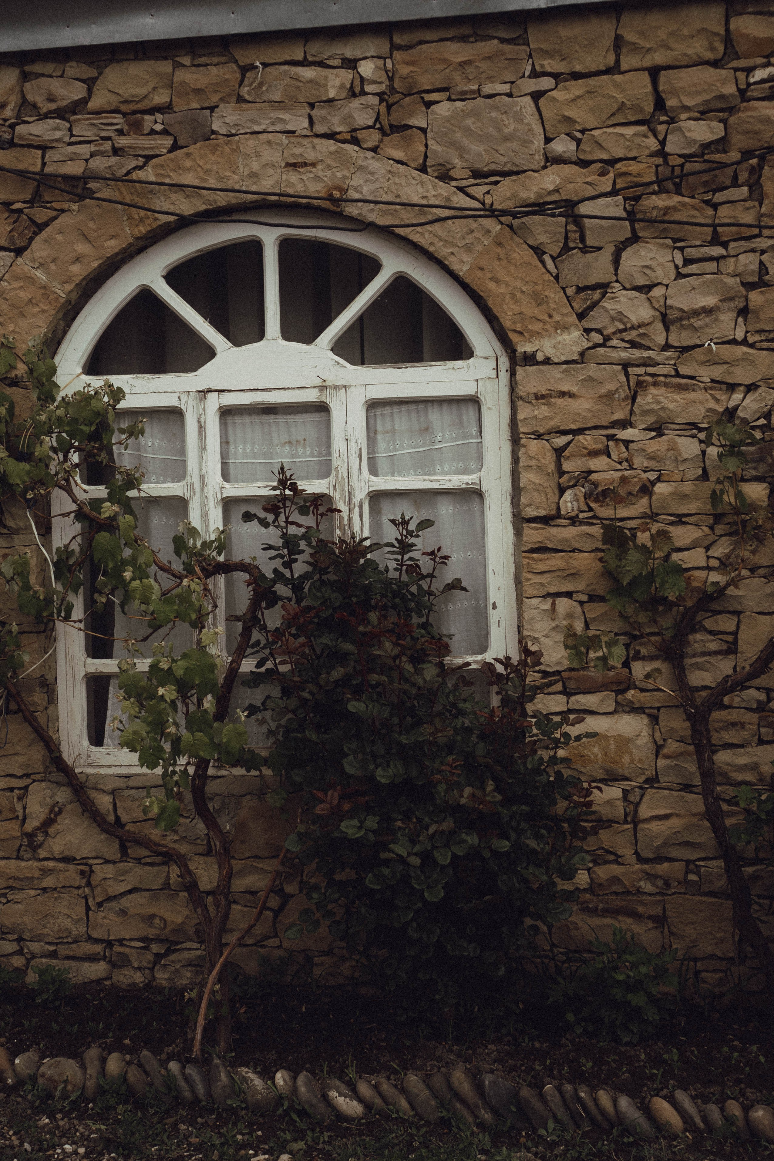 Кавказ. Профессиональный фотограф, Санкт-Петербург — Виктория Богомолова