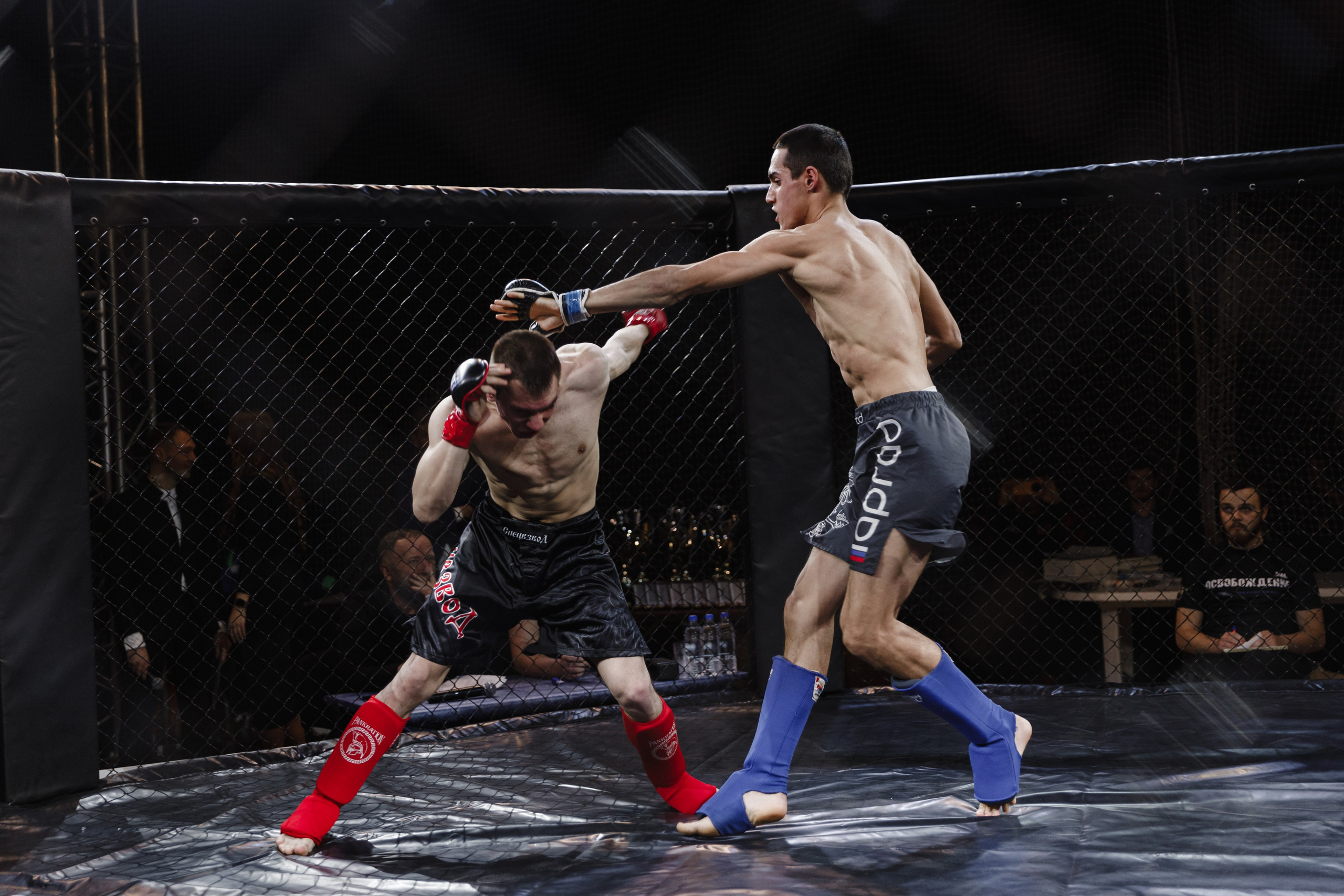 Турнир по ММА «Освобождение» 2023 г. Истра. Свадебный фотограф Фадеева Алёна